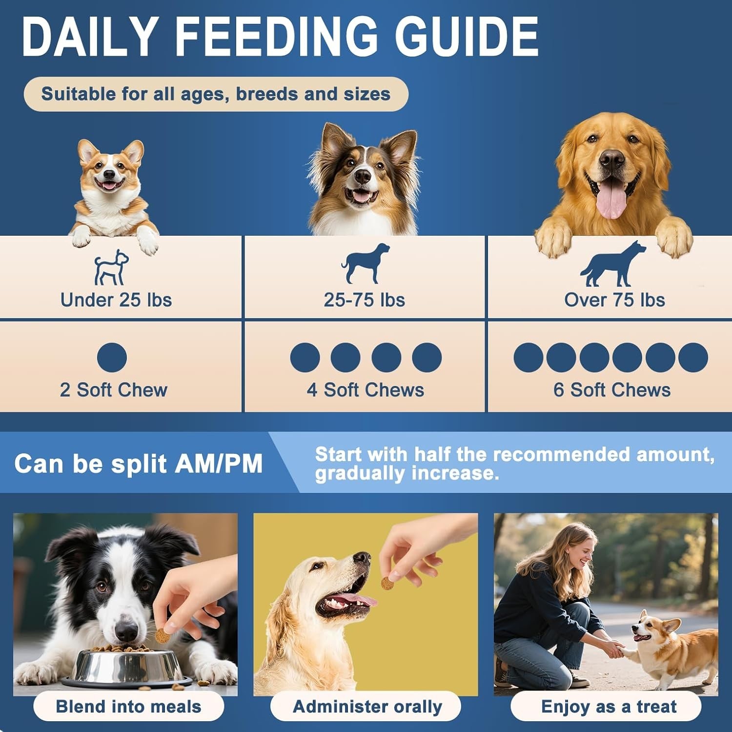 Probiotics for Dogs, Dog Probiotics Chews for Digestive Health & Gut Health, …