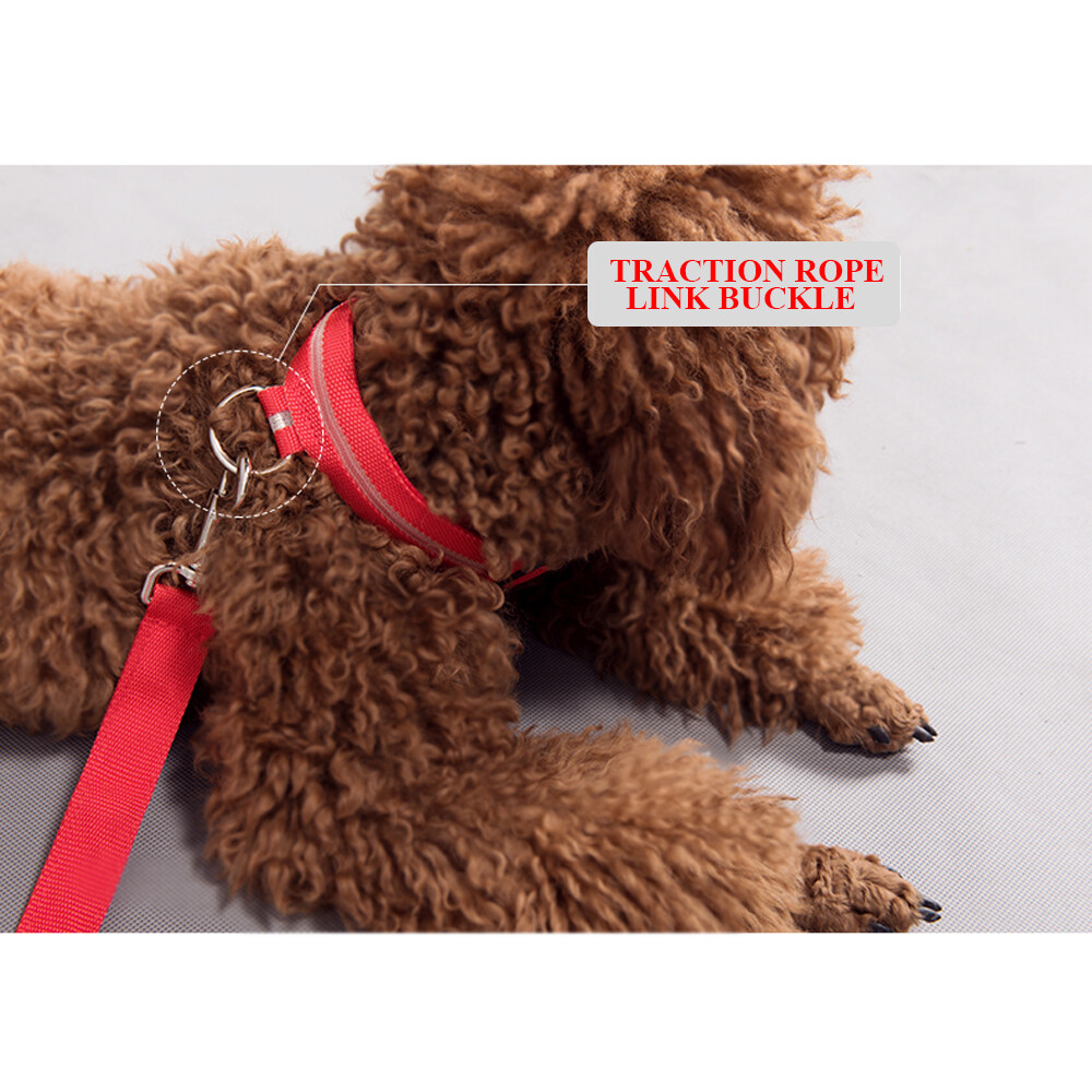 Dog LED Collar Blinking Night Flashing Light Up Glow Adjustable Pets Safety USA