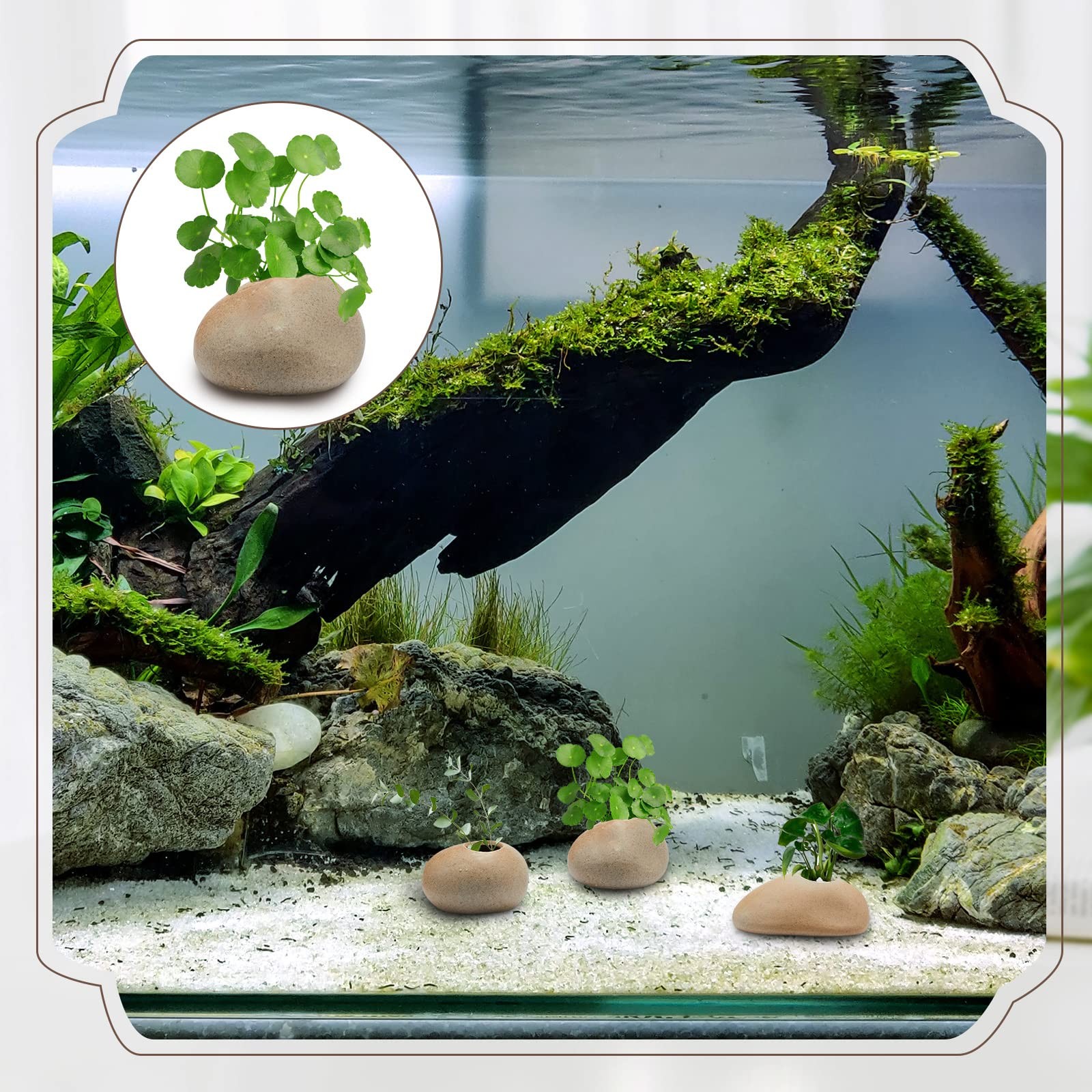 Norme 8 Pcs Aquarium Plant Holder Fish Tank Plants As Pictures Show