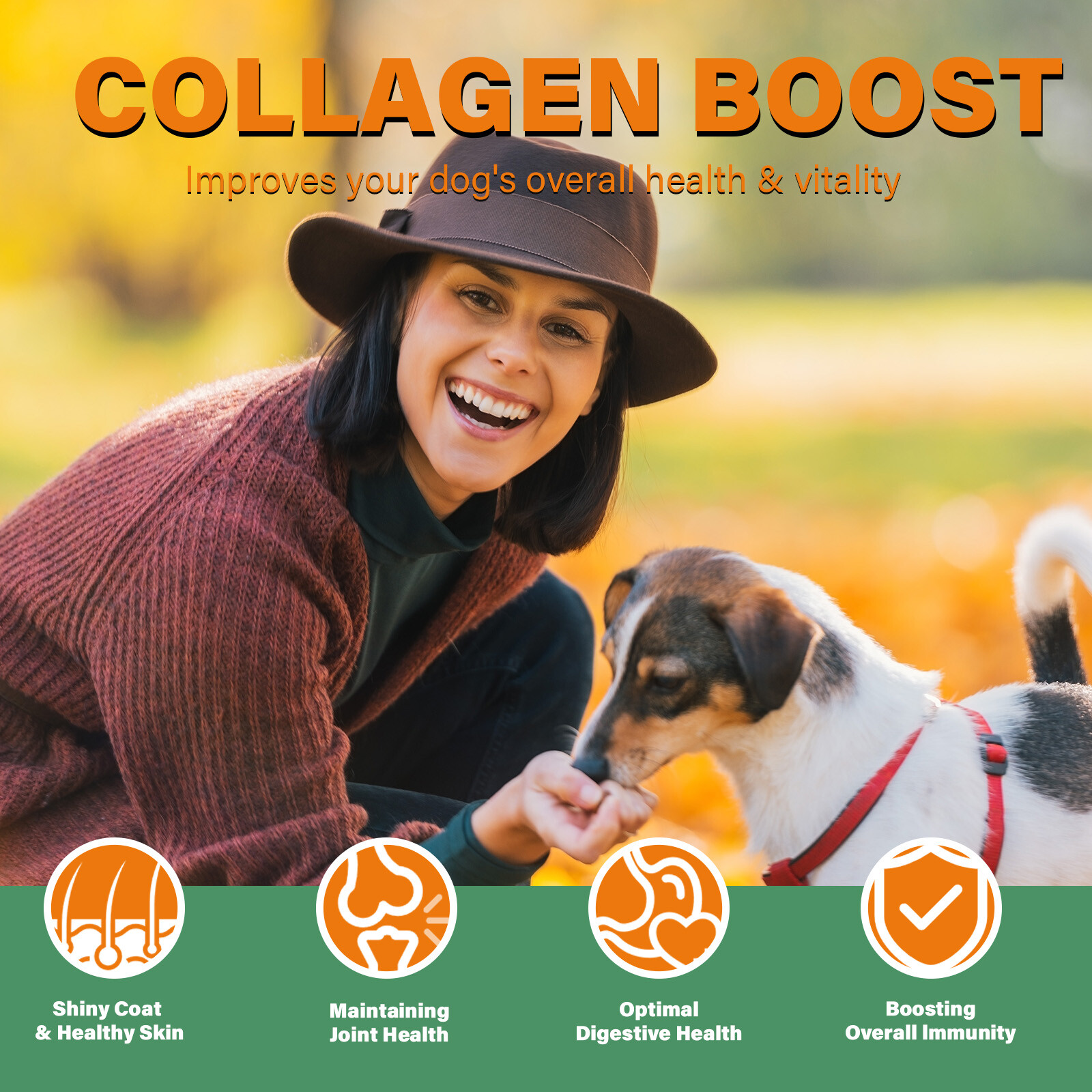 (3 Packs) Premium Collagen for Dogs – for Dogs Skin and Coat, Hip & Joint