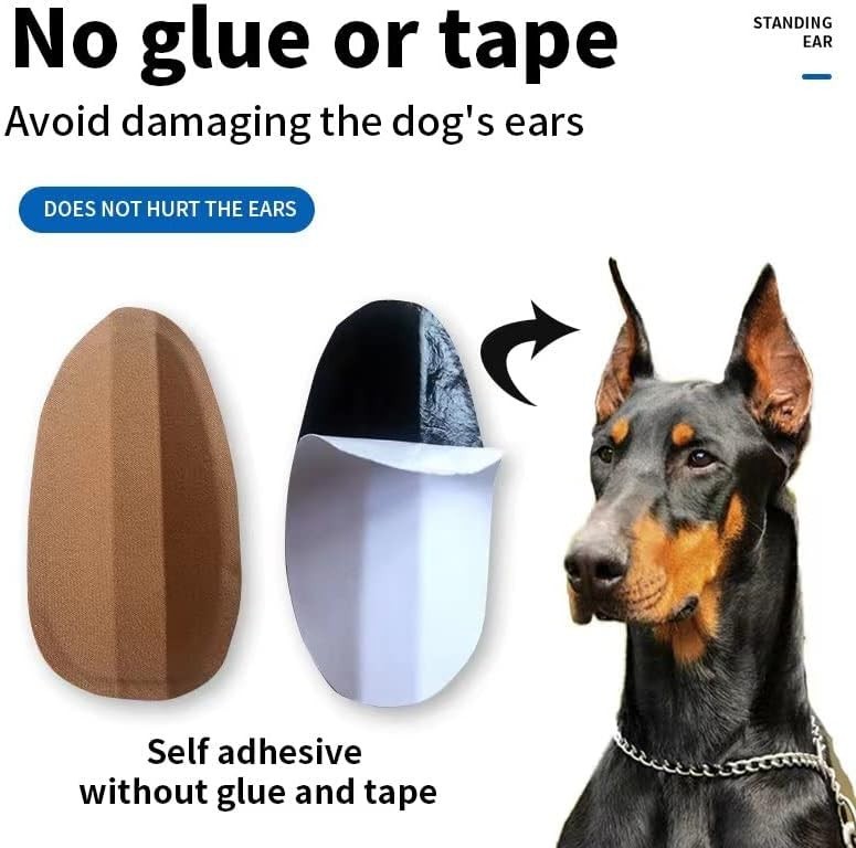 High Rebound Ear Fixed Tool for Dogs – 2.56×1.57, Easy to Use & Comfortable