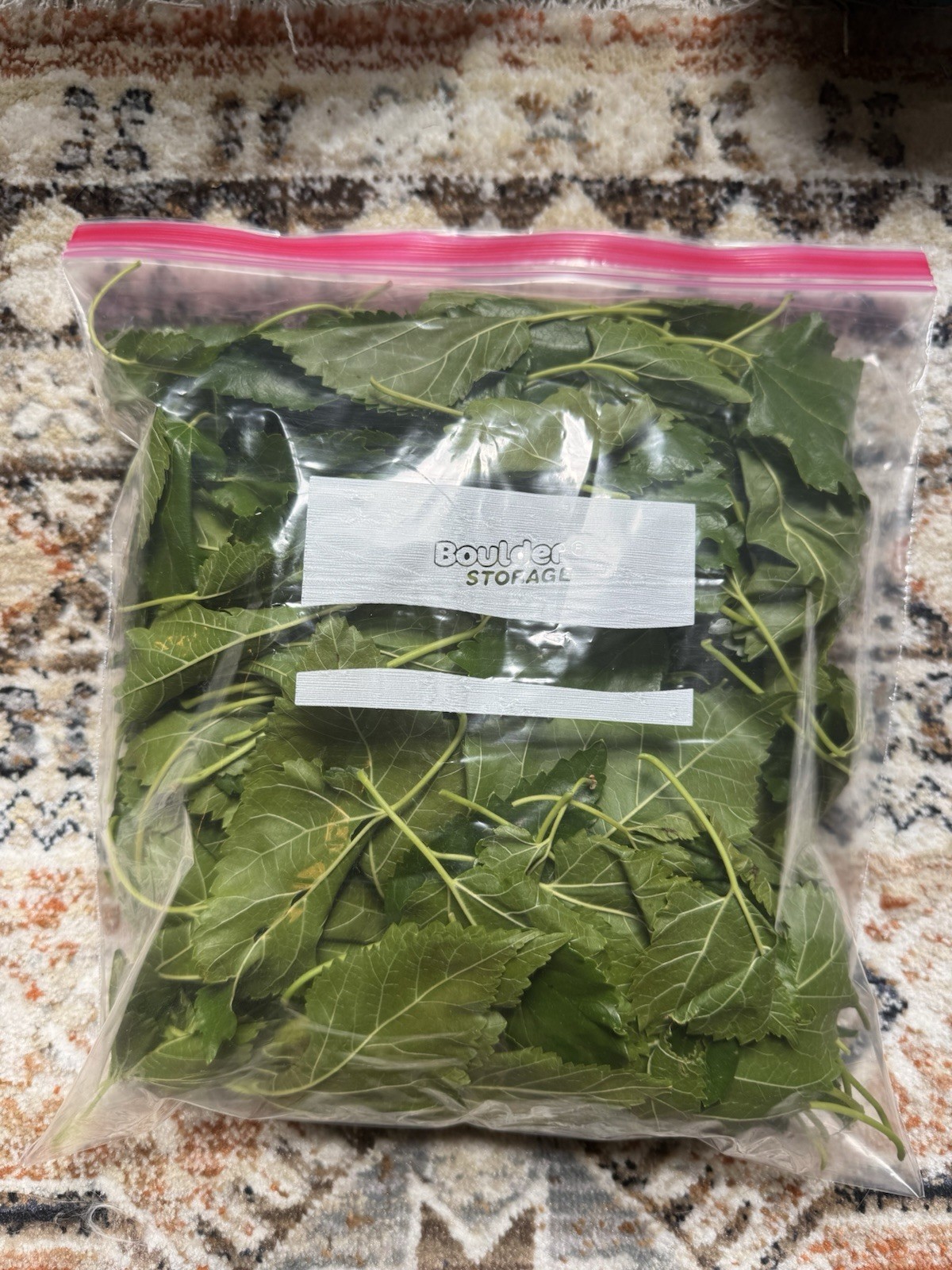 Fresh Organic Mulberry Leaves 1 Gallon Shrimp, Tortoise, Rabbit, Lizard Food