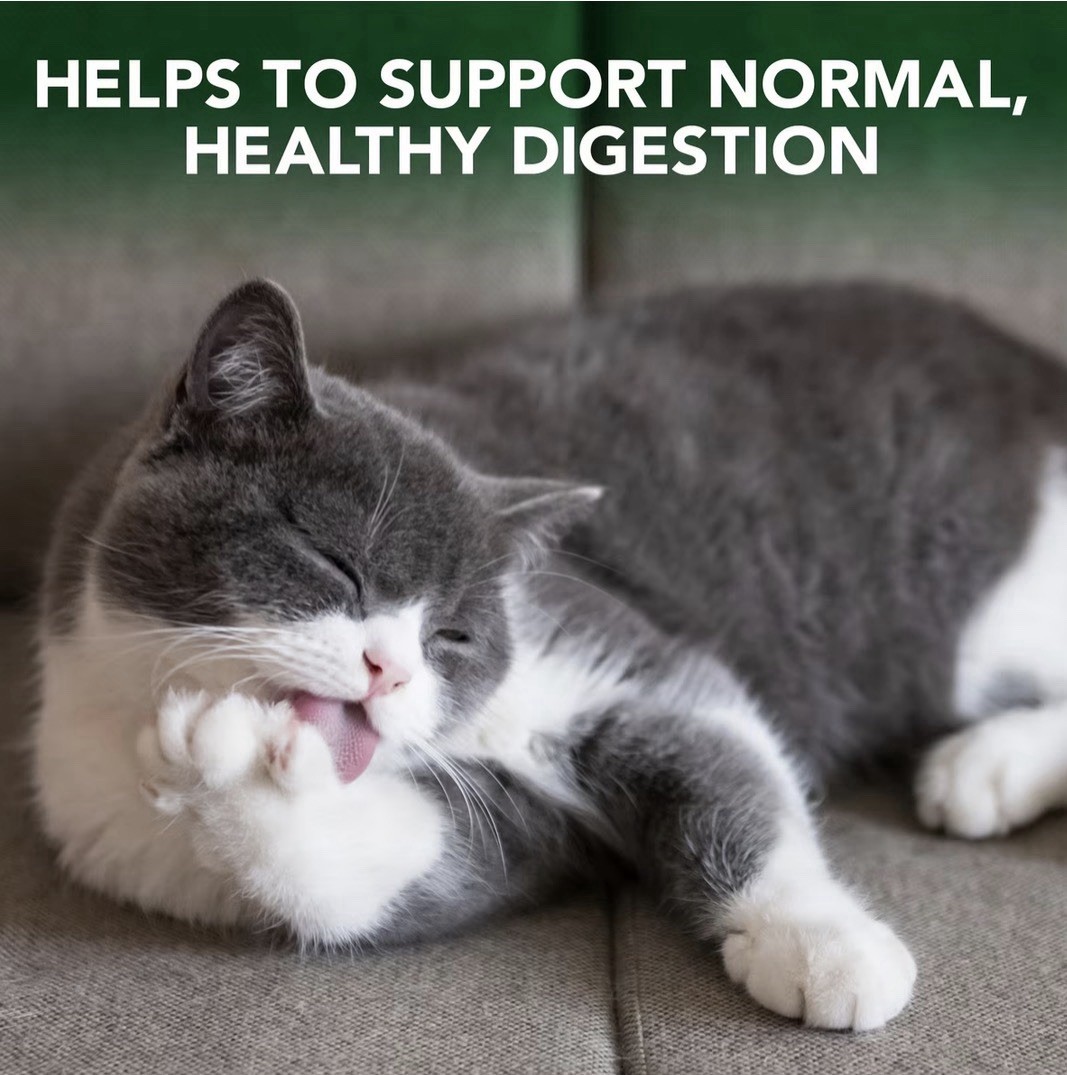 Vet’s Best Cat Hairball Relief Digestive Aid, 60 Chewable Tablets – 02/2027