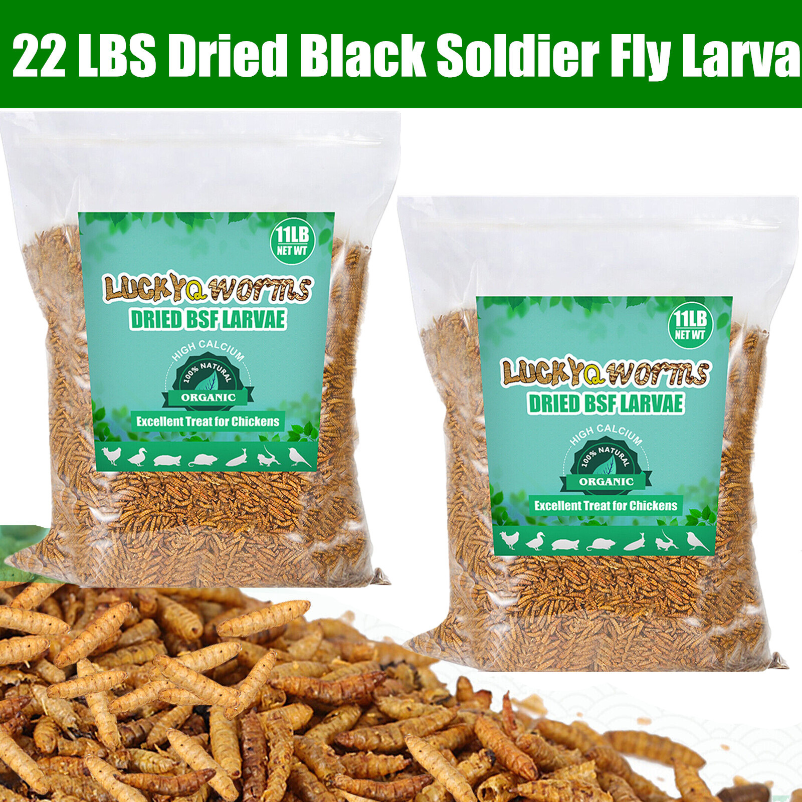 22 LBS Dried Black Soldier Fly Larva High Calcium Treats for Chickens Birds Duck