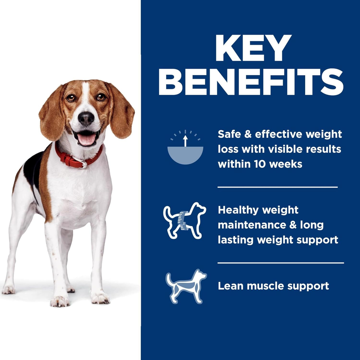 Perfect Weight, Adult 1-6, Weight Management Support, Small Kibble, Dry Dog Food