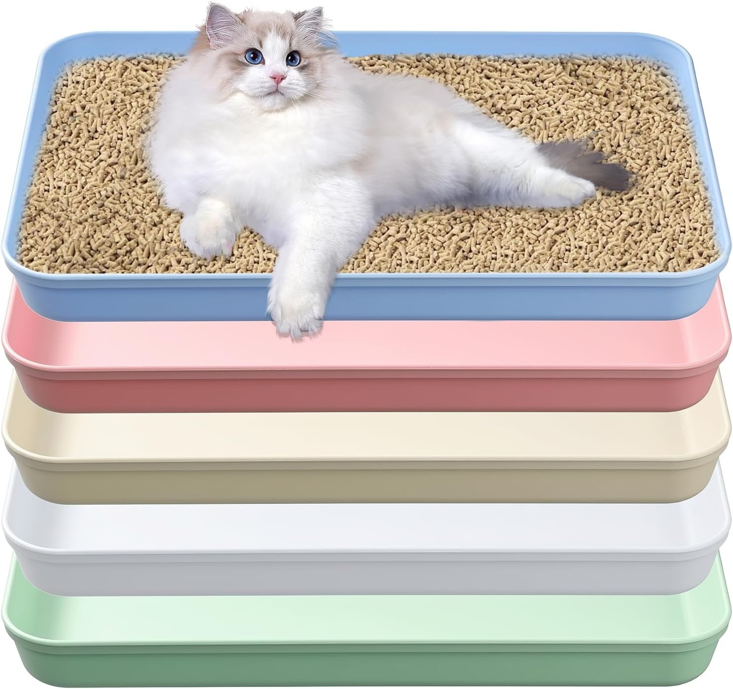 5 Pcs Medium Open Cat Litter Box,15 x 10.4 x 1.6 Inch Plastic Kitten Litter Pan