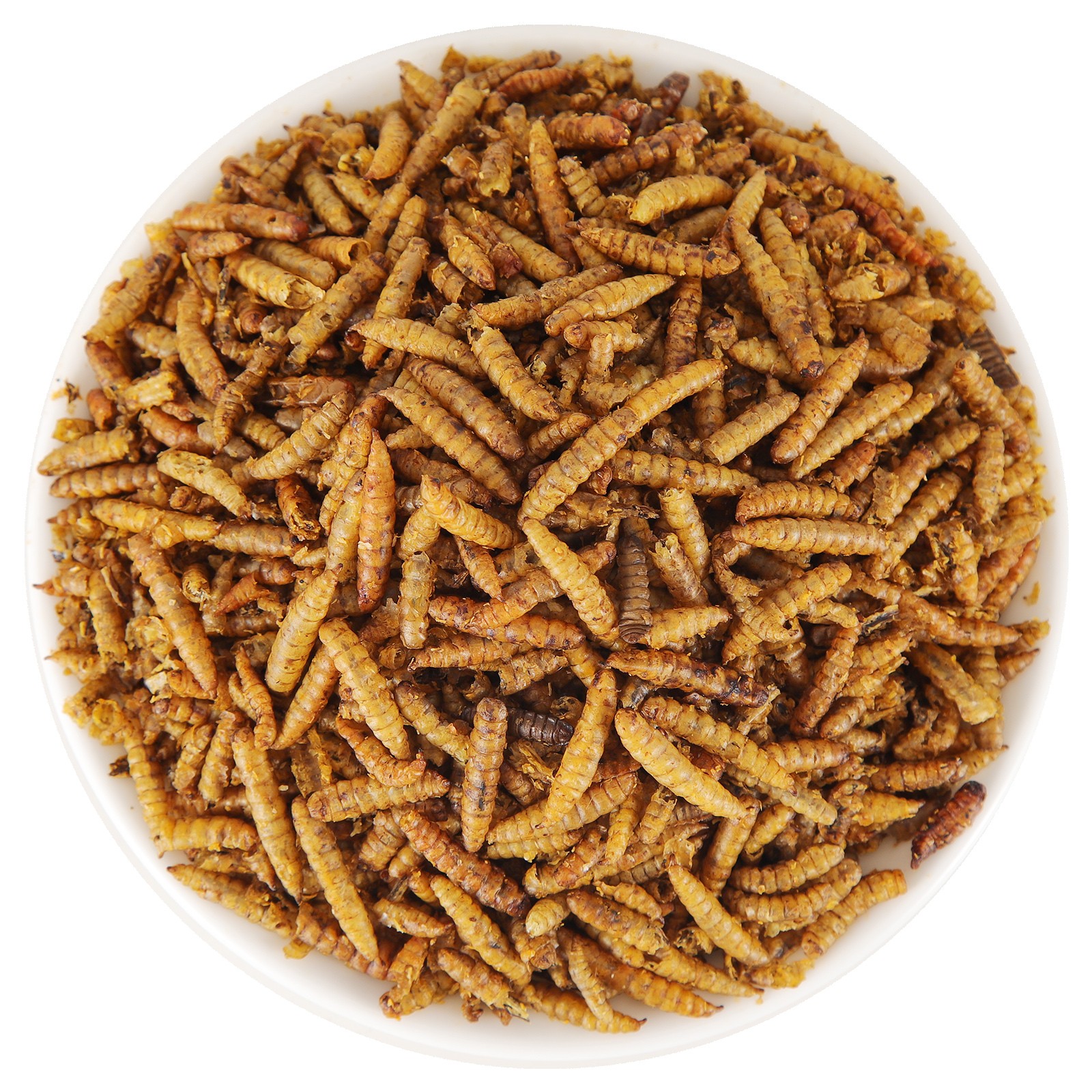 5-44LB Dried Black Soldier Fly Larvae Mealworms for Chicken Birds Treats Premium