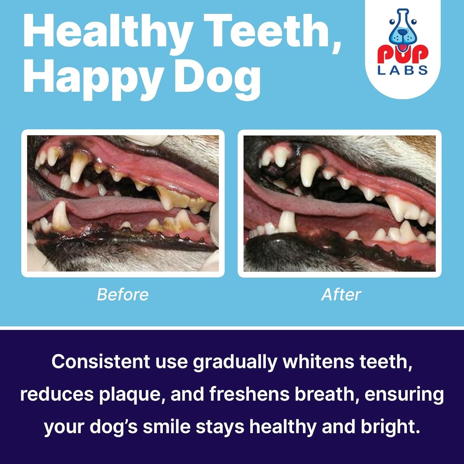 ProDenta All-Natural Dog Dental Powder – 30 Servings for Fresh Breath & Health