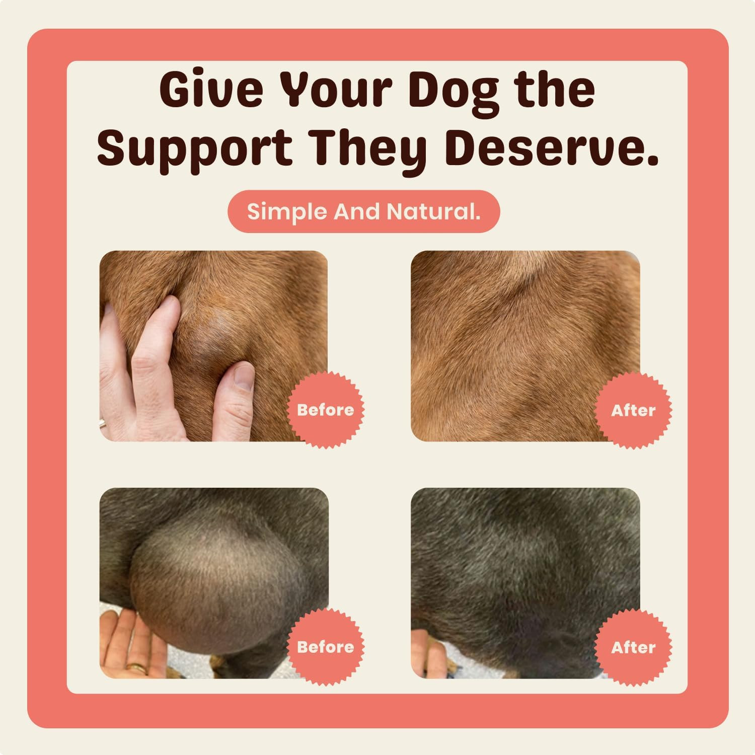 Turkey Tail Mushroom for Dogs – Turkey Tail Mushroom Powder with Probiotics for