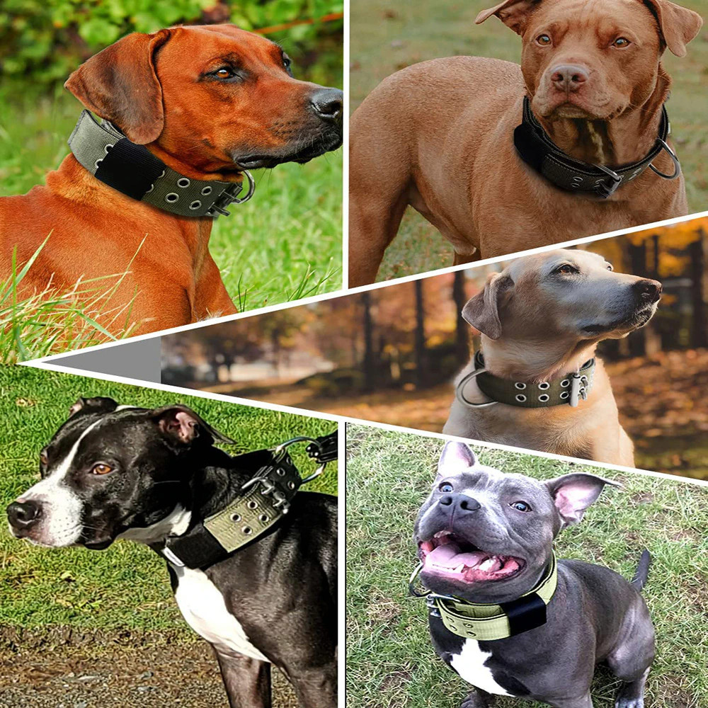 2″ Wide Tactical Heavy Duty Nylon Large Dog Collar K9 Military With Metal Buckle