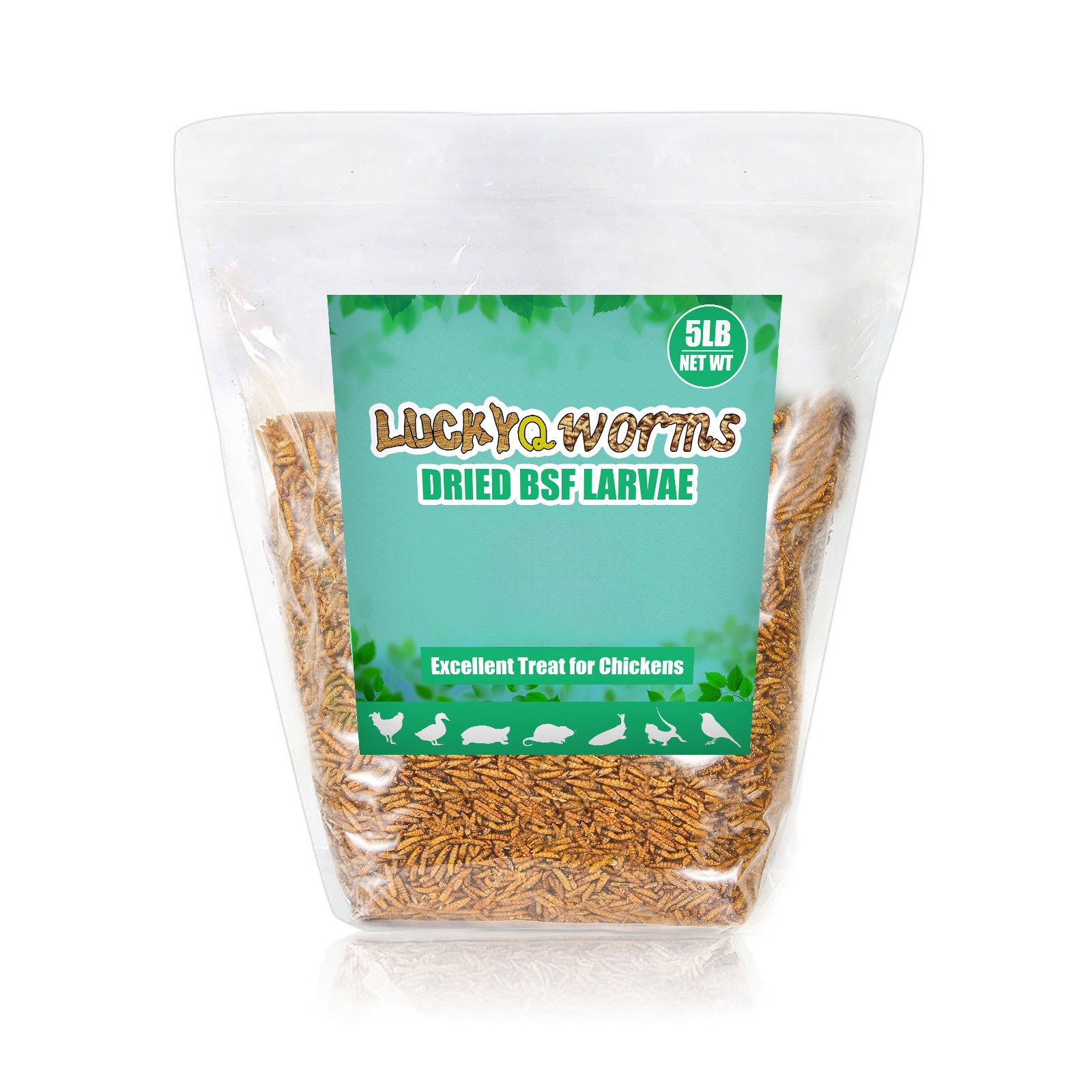 Bulk Premium Dried Black Soldier Fly Larvae Mealworm for Chicken HighCalcium LOT