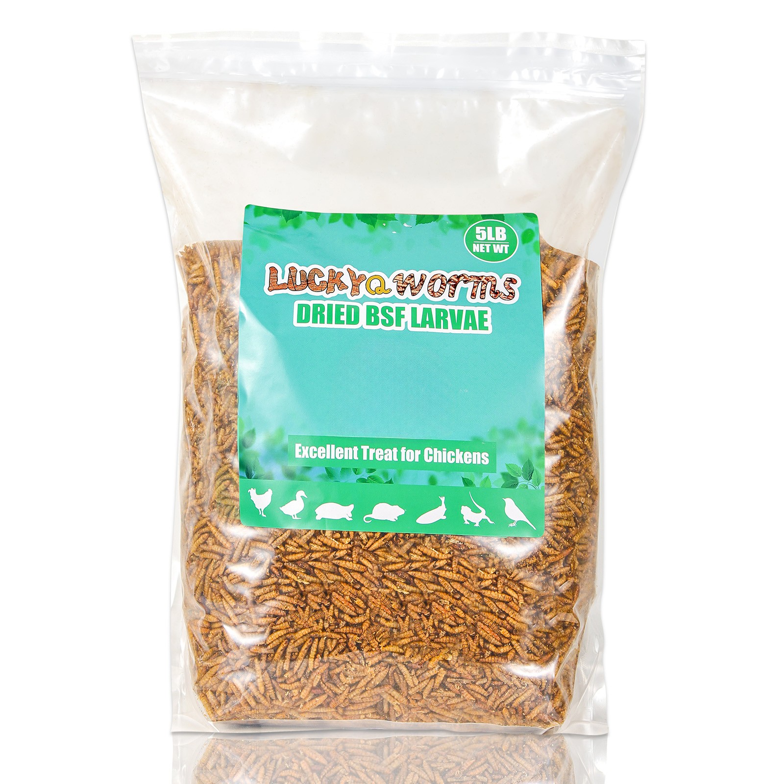 Premium 11Lbs Dried Black Soldier Fly Larvae Mealworms for Chicken Birds Treats