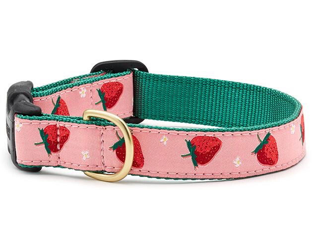 Up Country Dog Collar Strawberry Fields Adjustable Made In USA XS S M L XL XXL