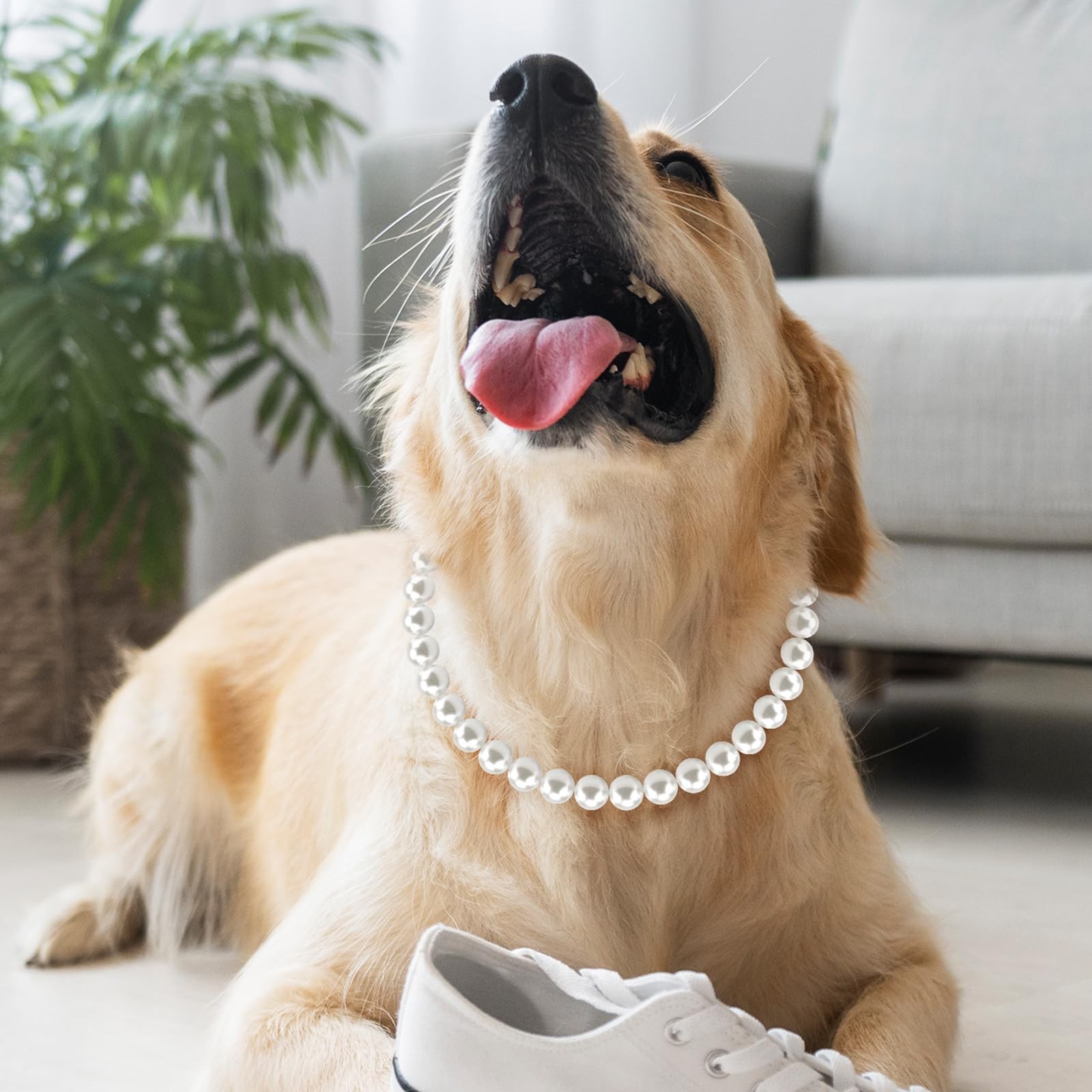 Chunky Pearl Dog Necklace (Beads 19mm) with Strong Stainless Steel Wire Rope