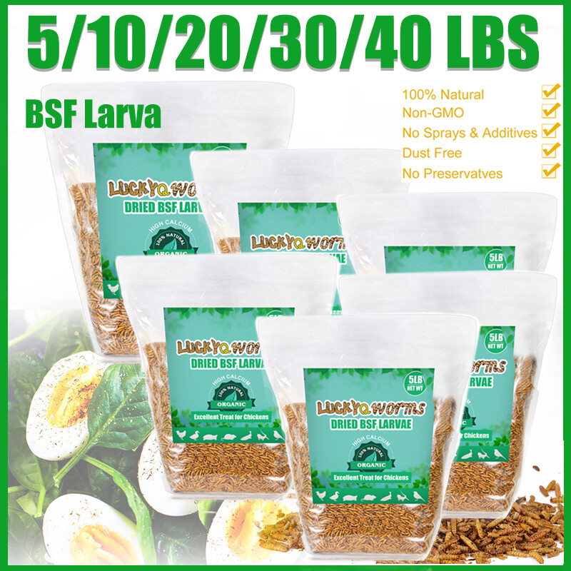 Premium Dried Black Soldier Fly Larva High Calcium Hens Duck Treats 5-40LBS LOT