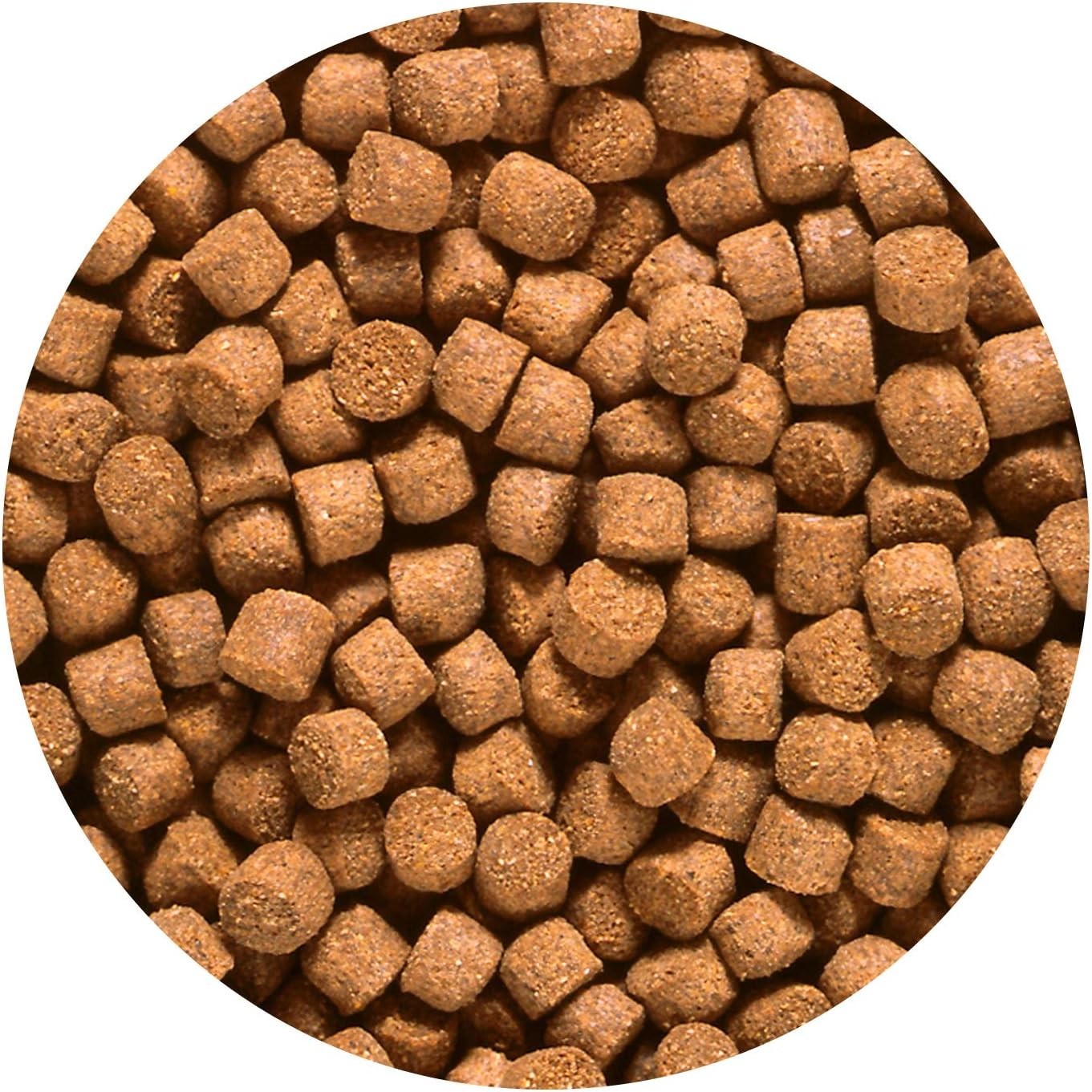 Cichlid Gold Pellets 2.2 lbs – High Astaxanthin Sinking Food for Tropical Fish