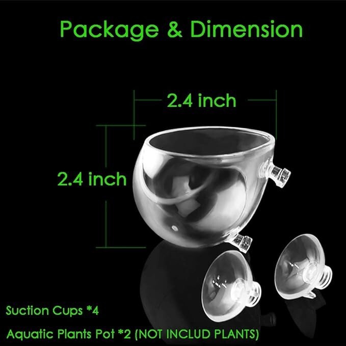2X Macetas de cristal para plantas acuáticas, jardinera, pecera con plantas,