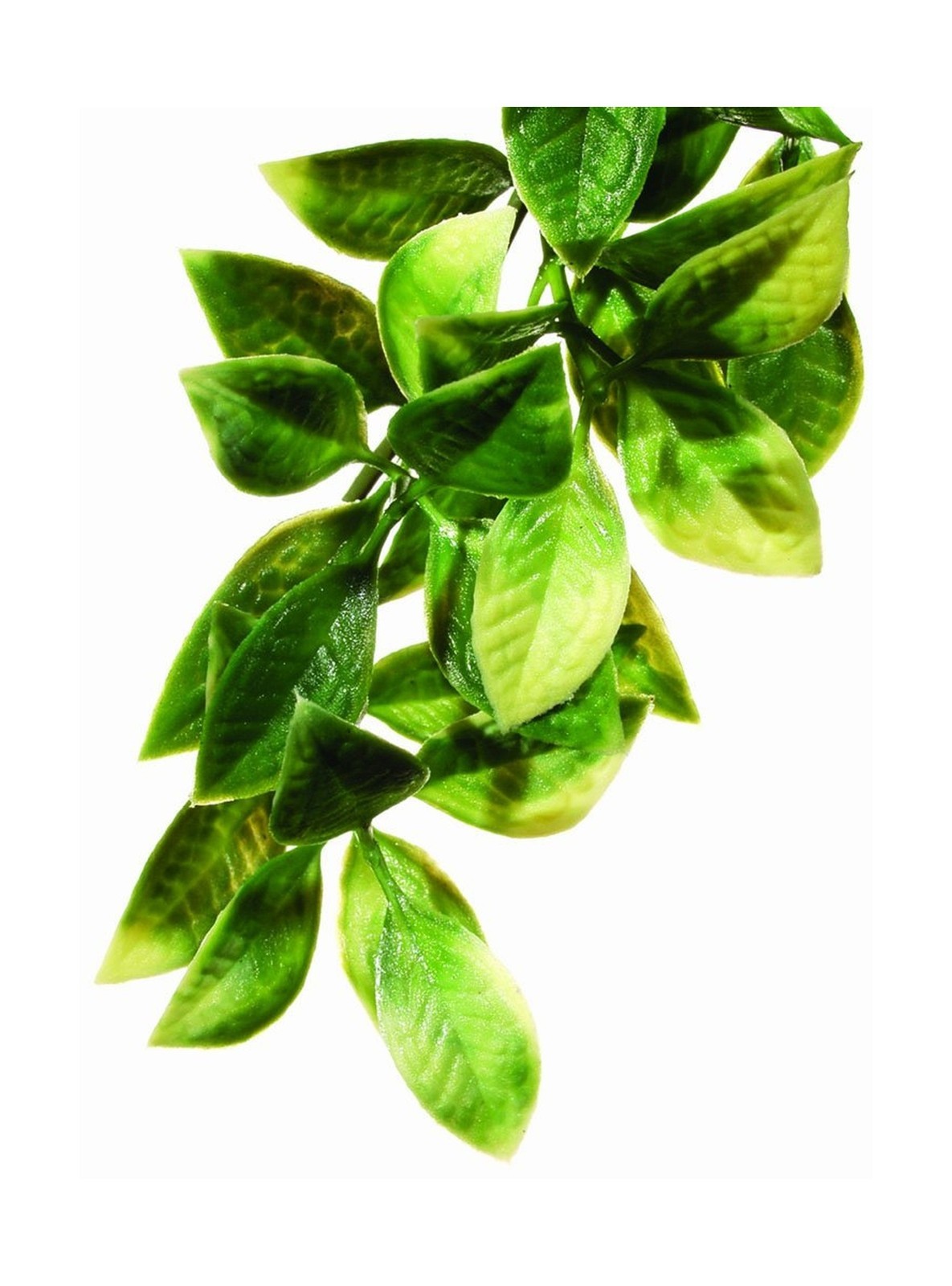 Exo Terra Plastic Terrarium Plant, Small, Mandarin Standard Packaging