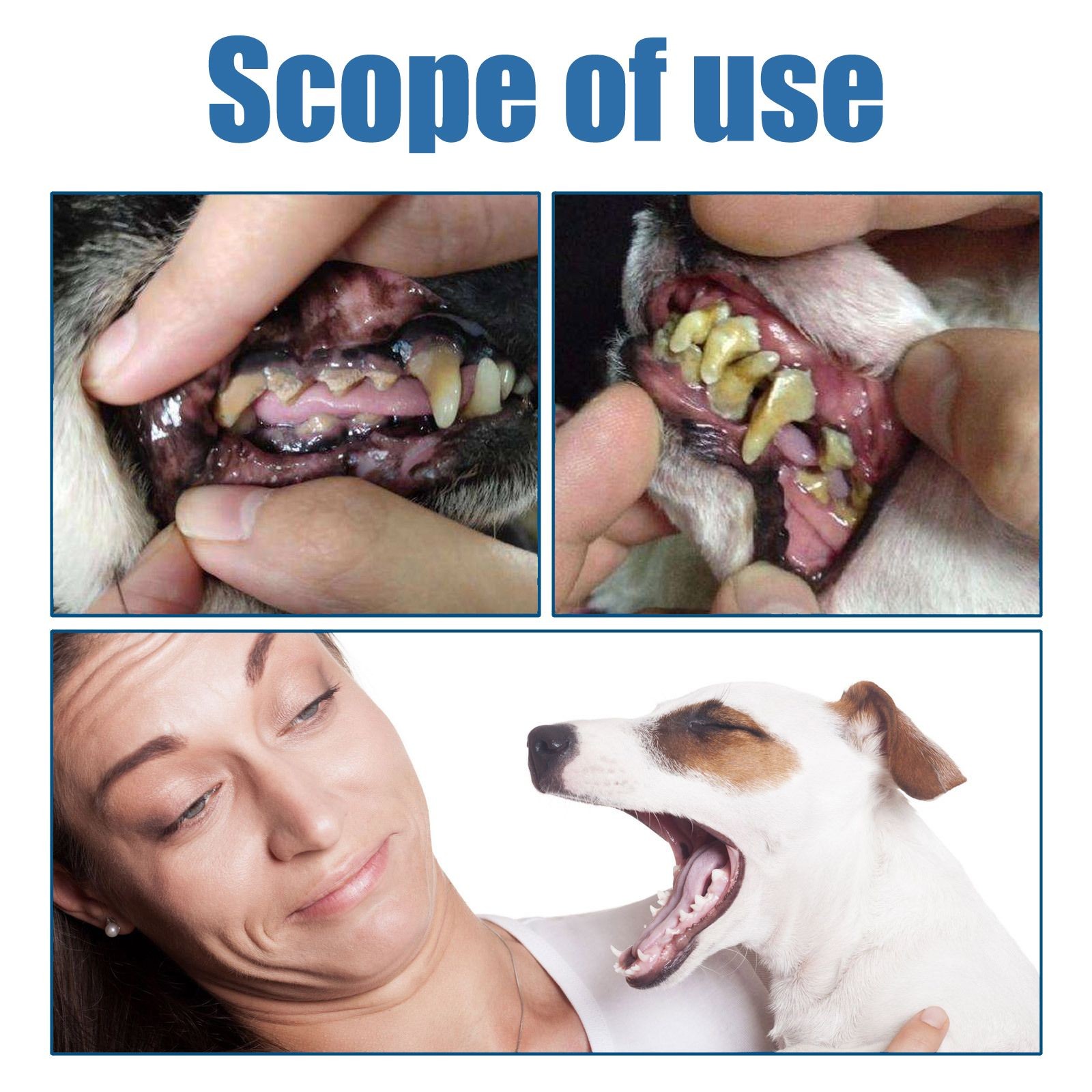 Daily Pet Oral Foam Spray for Dogs & Cats – Fresh Breath & Clean Teeth