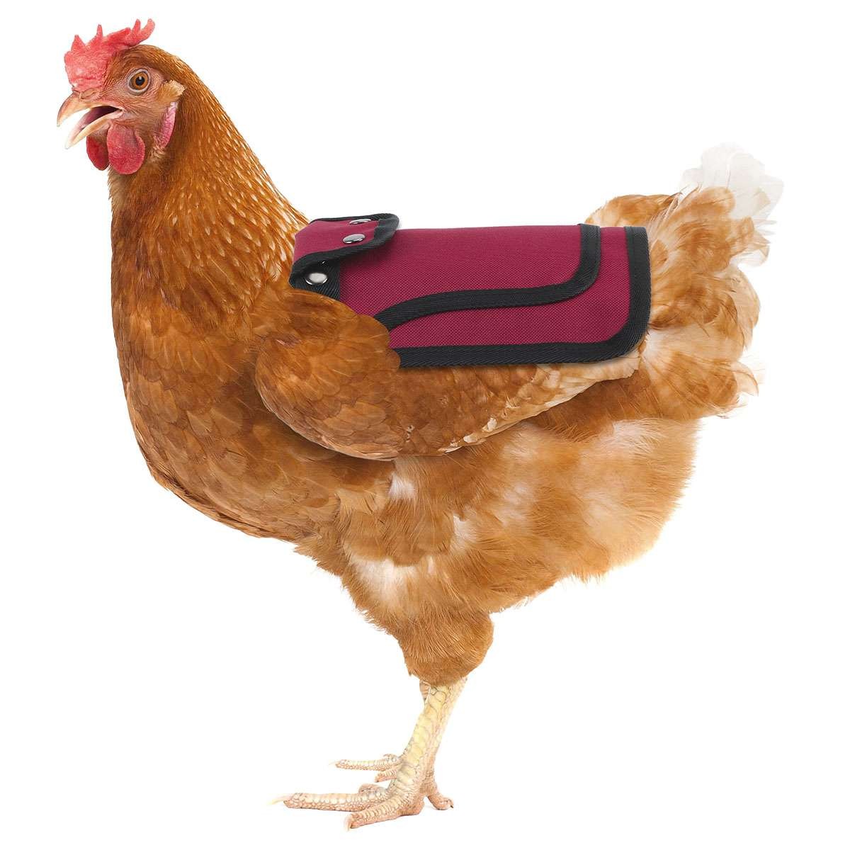 3 Pack Chicken Saddle Apron Hen Back Protector Waterproof Canvas Poultry Guard