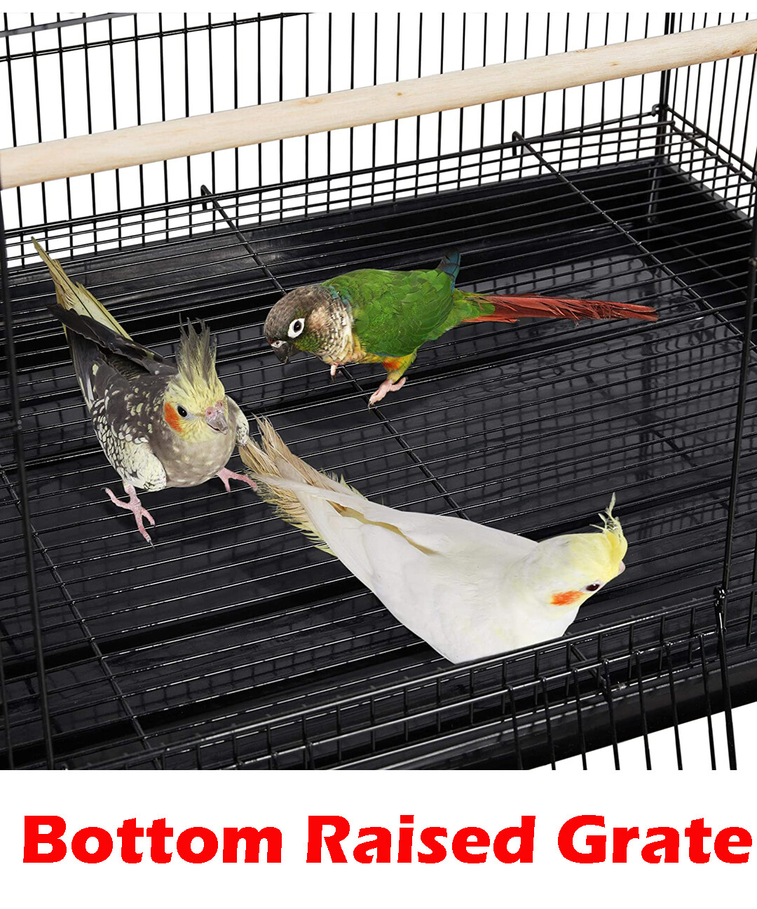 55″ X-LARGE Flight Multiple Parakeet Canaries Finch LoveBird Bird Breeding Cage