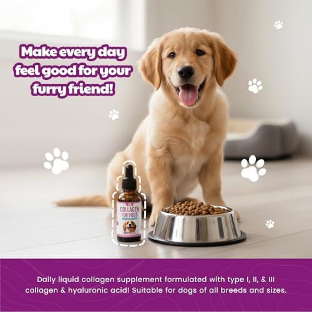 Premium Liquid Collagen for Dogs (120ml) Daily Collagen Dogs Supplement Drops