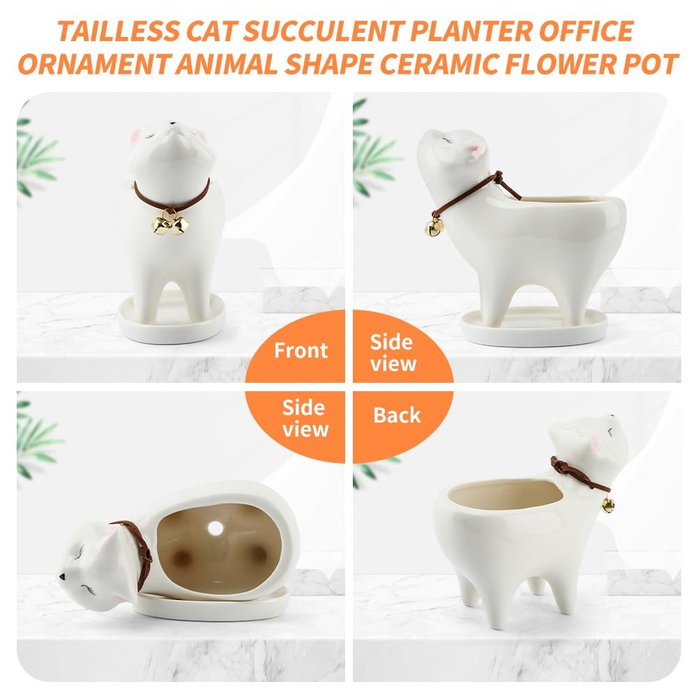 Unique Tailless Cat Little Planter Pot,Adorable free size, as picture show