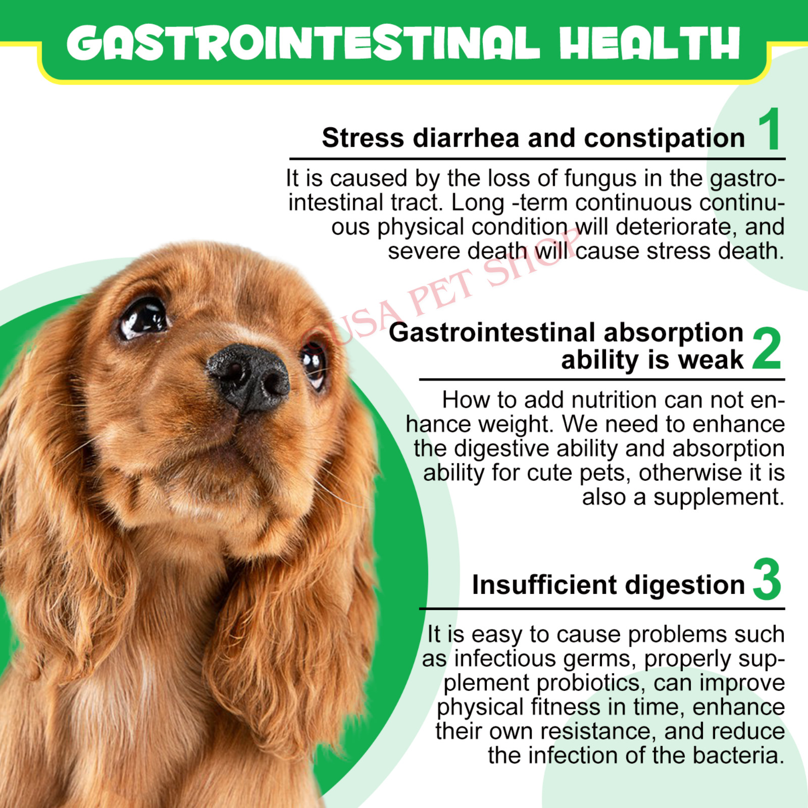 Prebiotic & Probiotic AND Natural Digestive Treats For Dogs 120 Soft Chews
