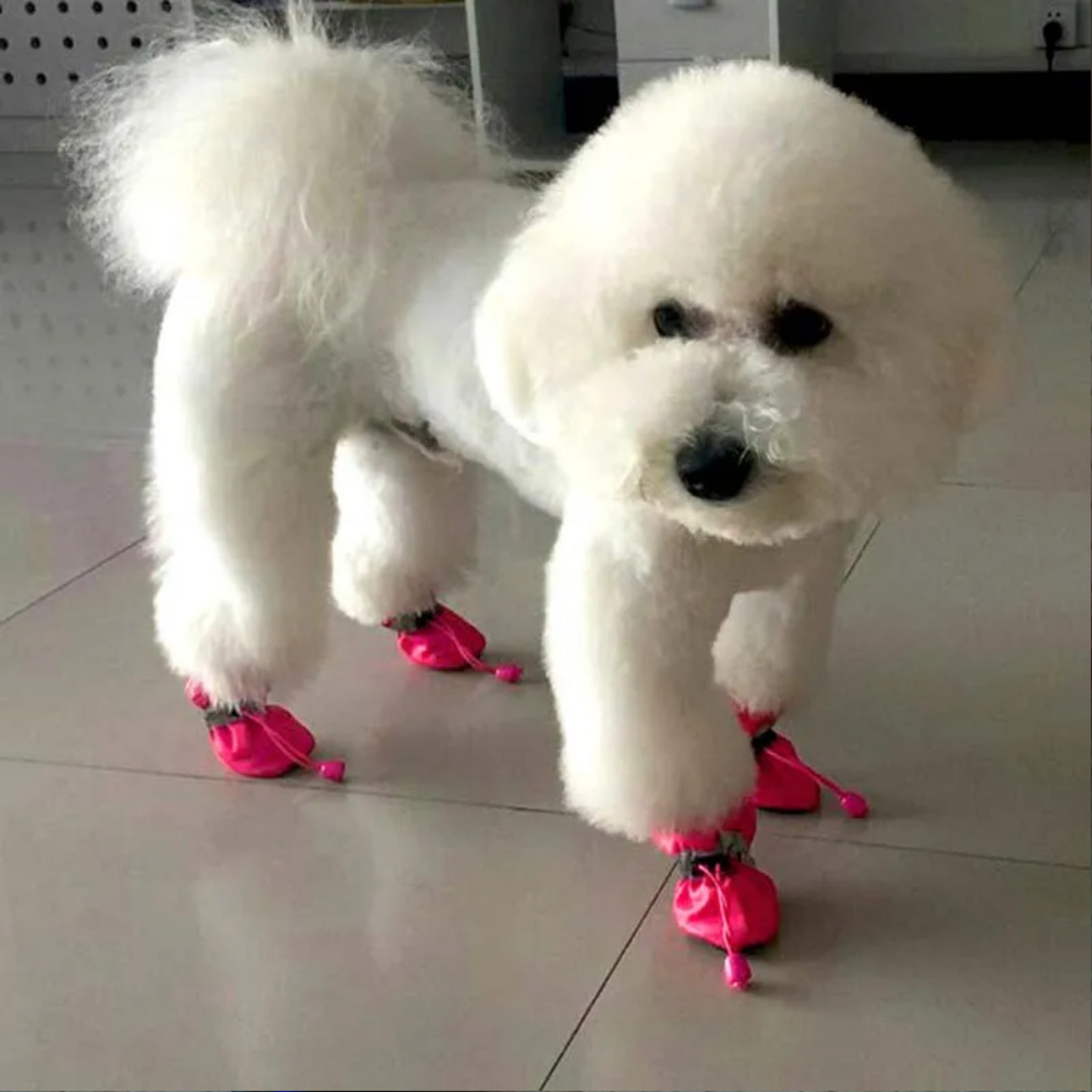 4PCS Waterproof Dog Shoes Anti-Slip Pet Rain Boots for Small Dogs Cats