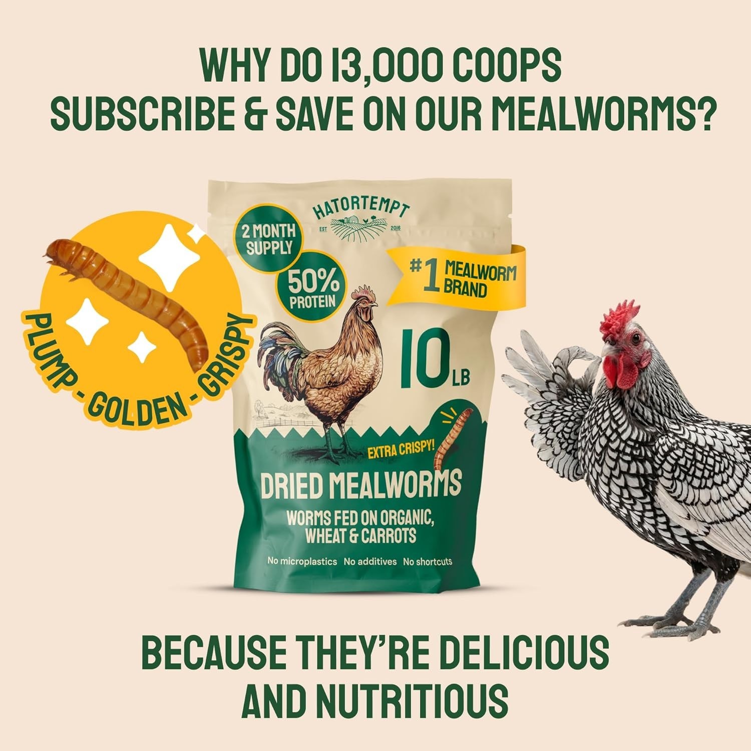 High-Quality Dried Mealworms for Chickens & Wild Birds – 10 Lb Organic & Non-GMO