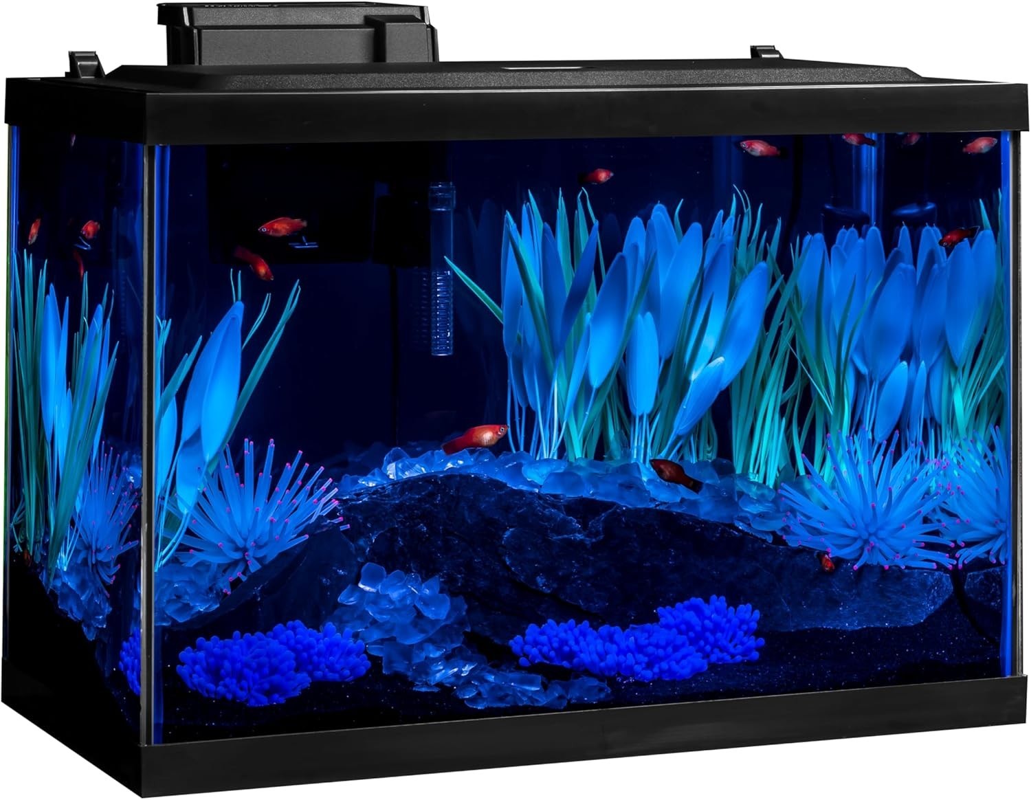 Colorfusion Aquarium 20 Gallon Fish Tank Kit Includes LED Lighting and Decor
