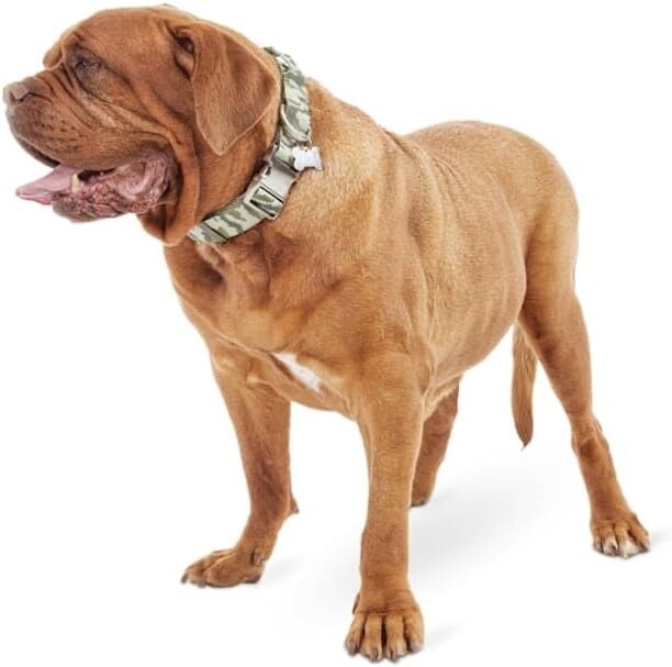 Good2Go Camo Control Handle Collar for Big Dogs, XX-Large/3X-Large