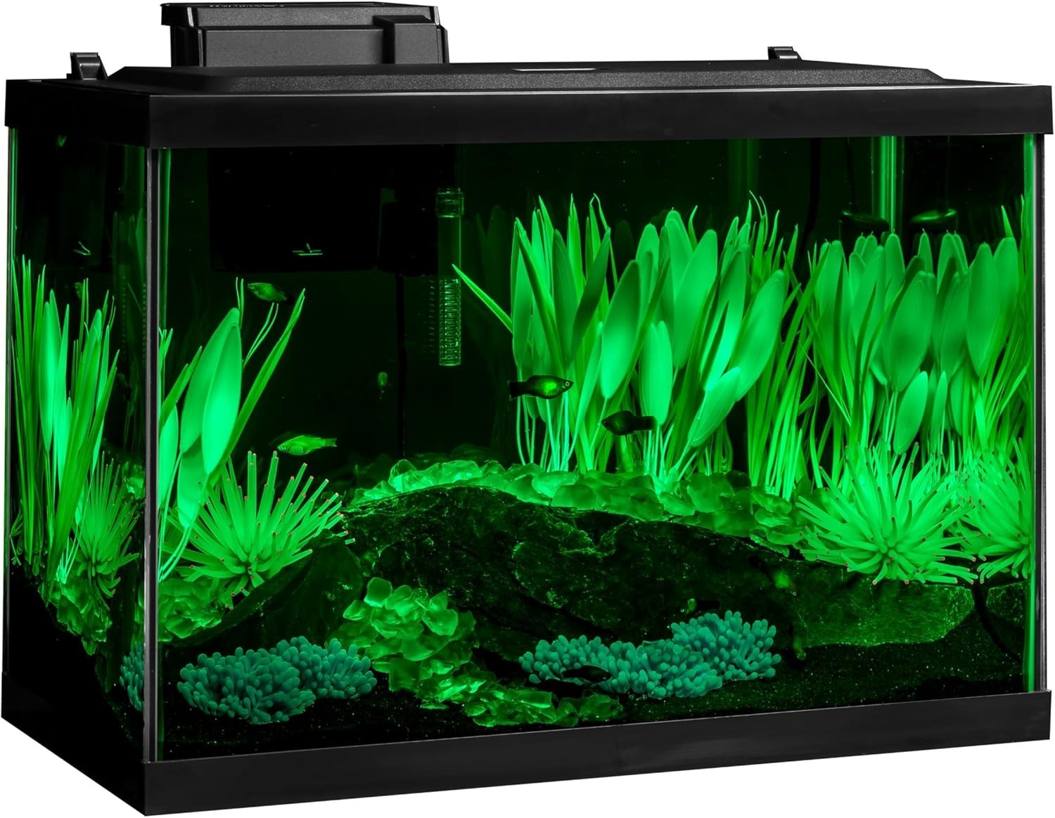 Colorfusion Aquarium 20 Gallon Fish Tank Kit Includes LED Lighting and Decor