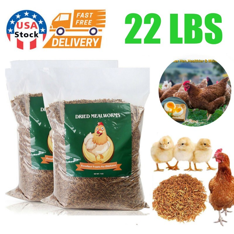 22LBS Non-GMO Dried Mealworms Fit Wild Bird Chickens Fish Reptile Food Treats US