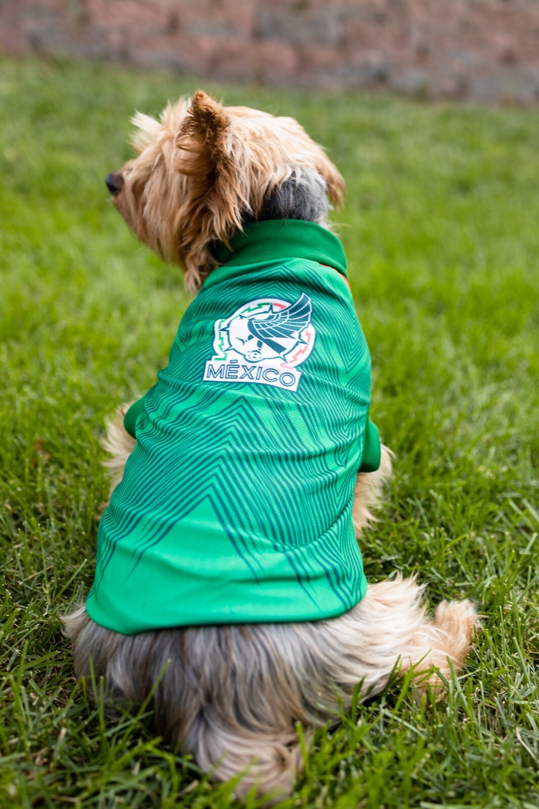 SELECCION MEXICANA Mexico Mexican SOCCER Fútbol Team PET cat /DOG uniform shirt