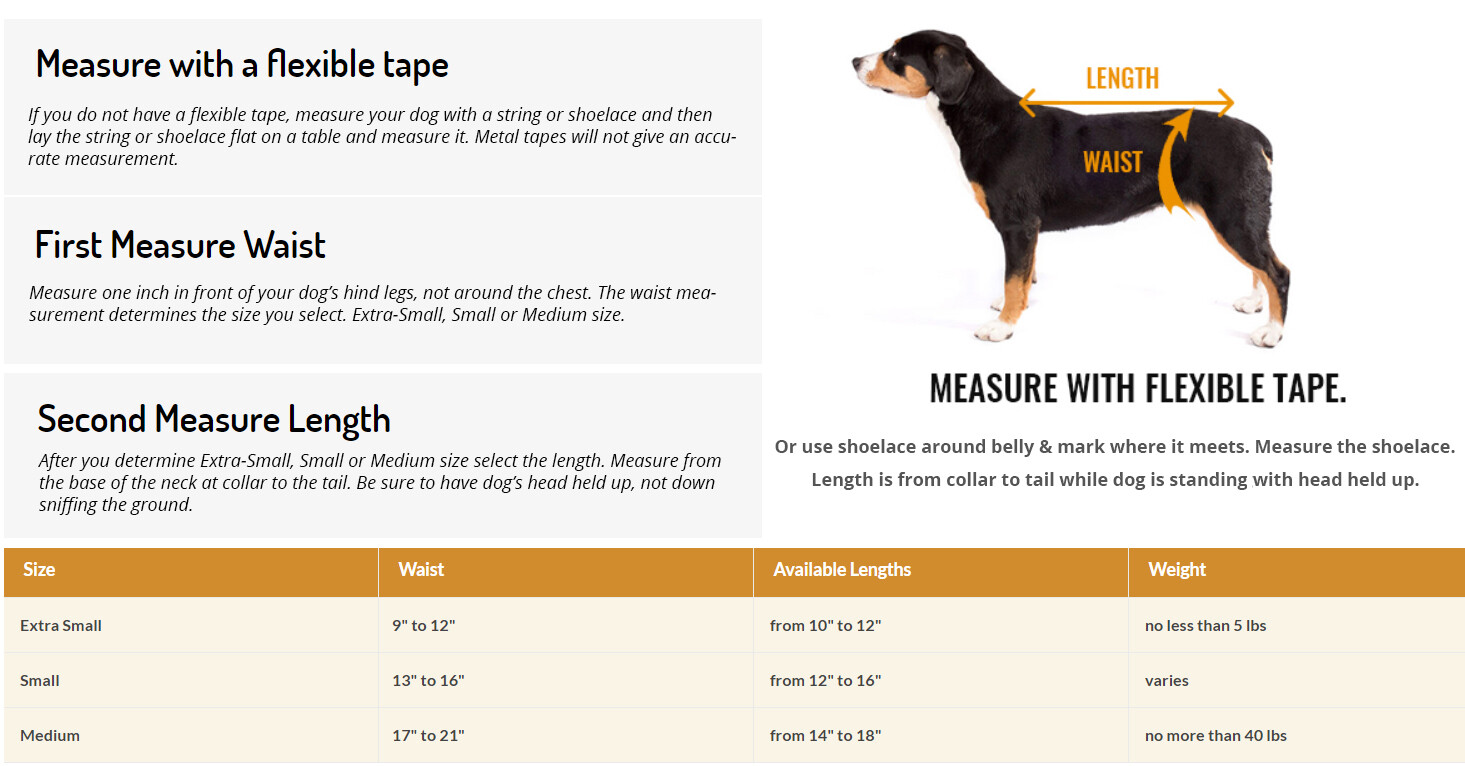 PeeKeeper Escape Proof Dog Diapers for Male and Female, Stay On Dog Diapers
