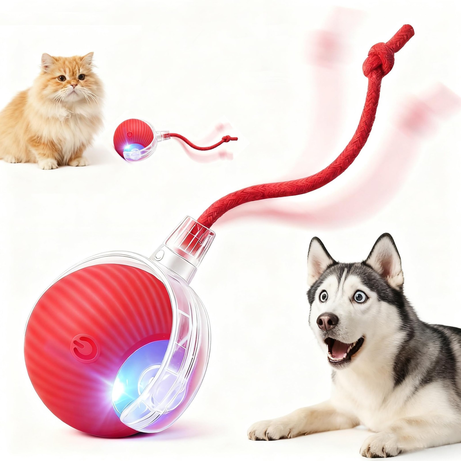 Liedrg Interactive Cat Toy Ball for Indoor 3.15 x 2.56 x 2.36 inches, rad