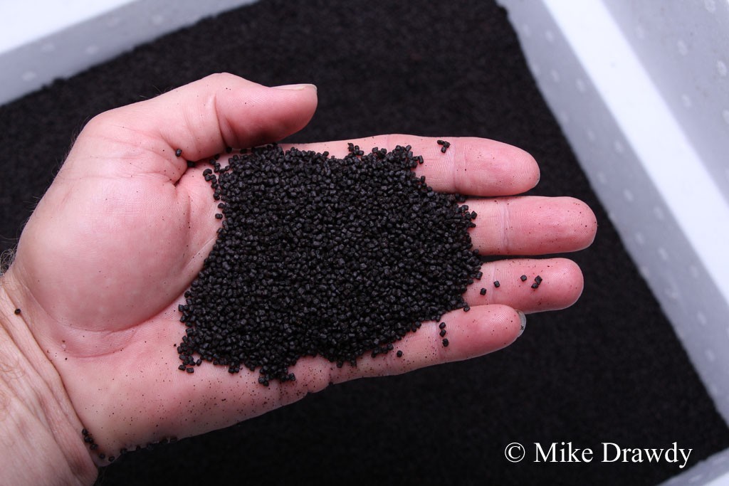 1lb of Small Grain Sinking Pellet Fish Food – This is what we use!