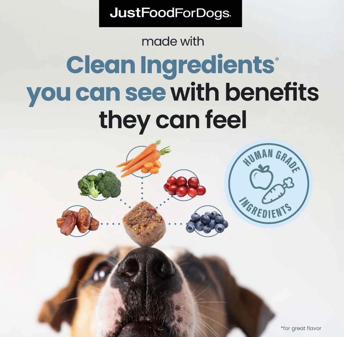 JustFoodForDogs Calming Supplement for Dogs Soft Chew to Support Stress and A…
