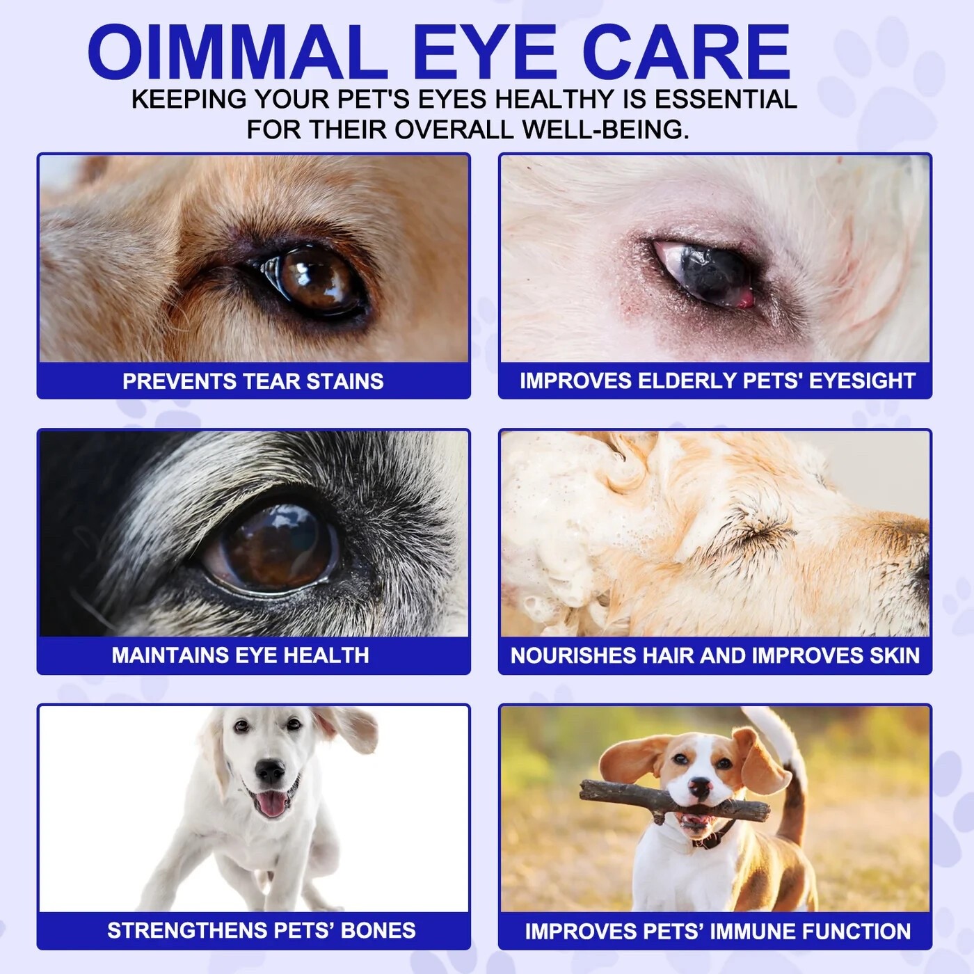 Eye Care for Dogs – 180 Chewable Tablets – Vision & Immune Support Supplement