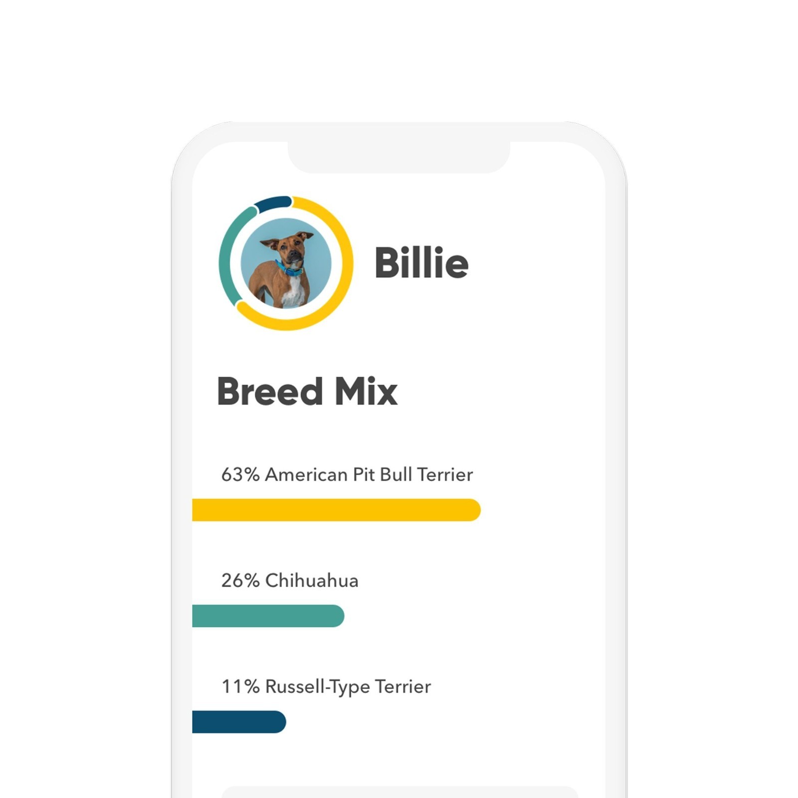Embark Breed + Health Dog DNA Test Kit, Breed Identification & Genetic Health
