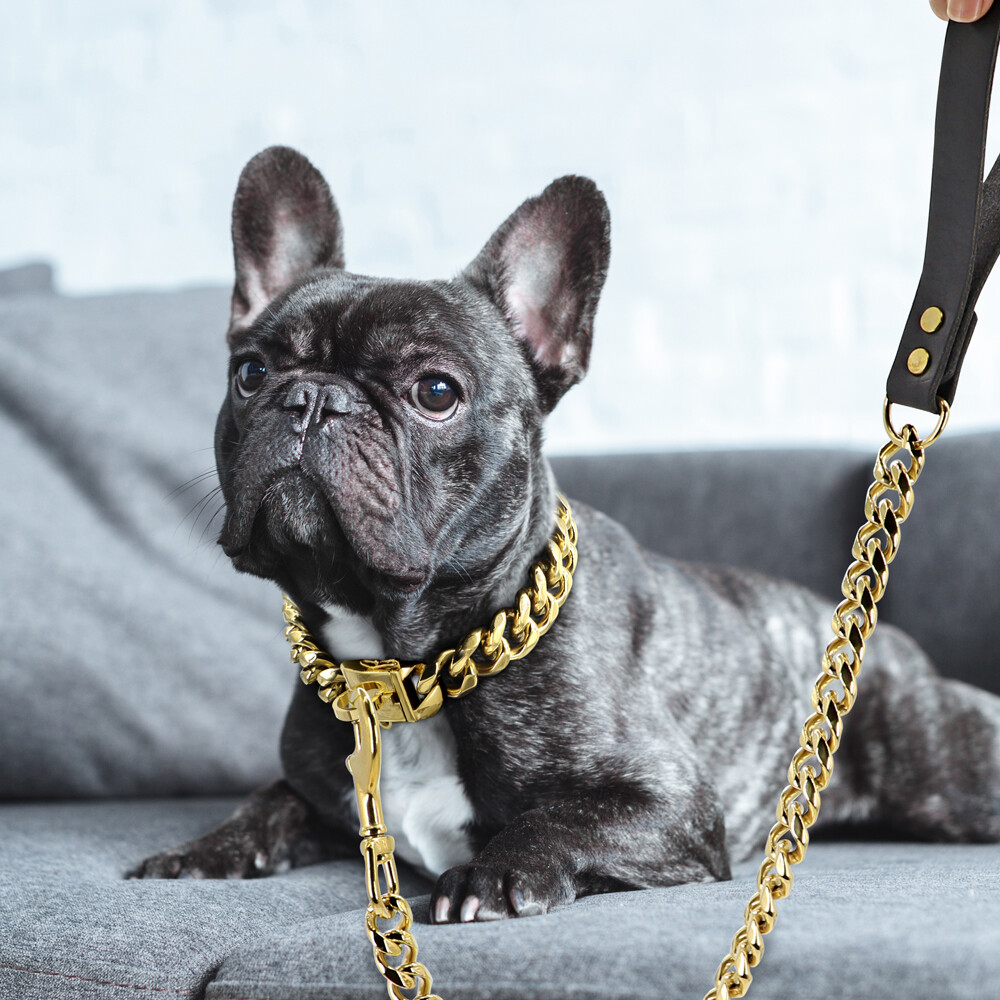 Dog Chain Collar & Leash Cuban Link Heavy Duty Stainless Steel Gold Silver 55cm