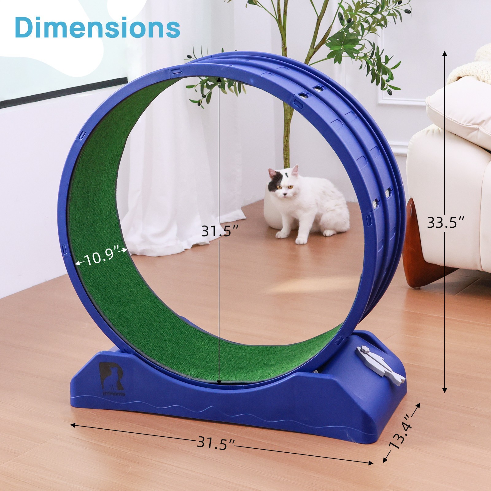 Large Cat Exercise Wheel Treadmill Cat Running Wheel Movement Cat Sport Toy