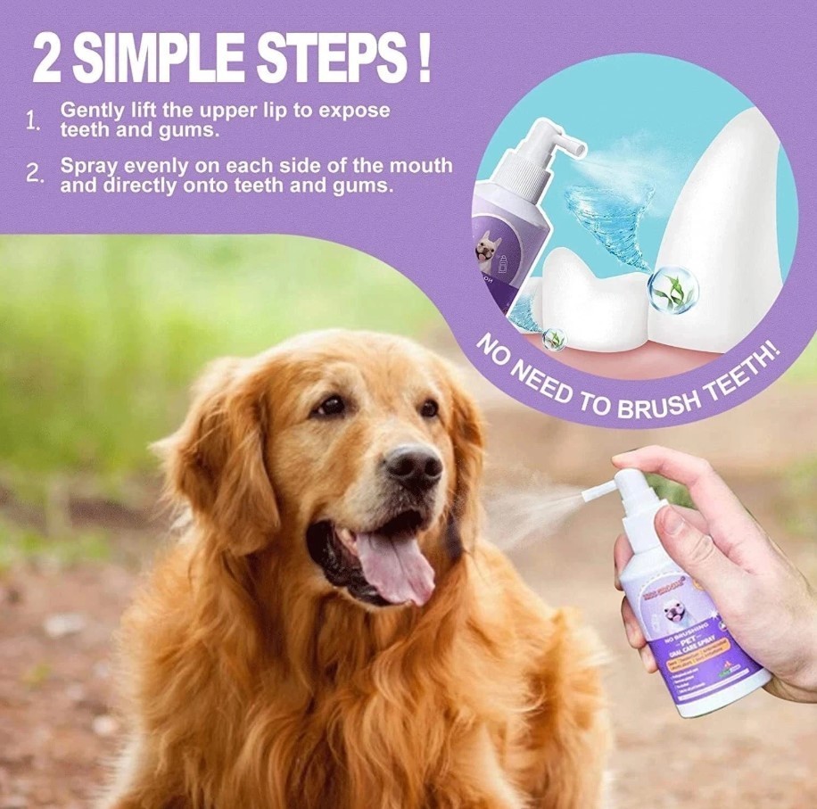 Teeth Cleaning Spray for Dogs & Cats Pet Oral Spray Clean Teeth 50ML 1PK
