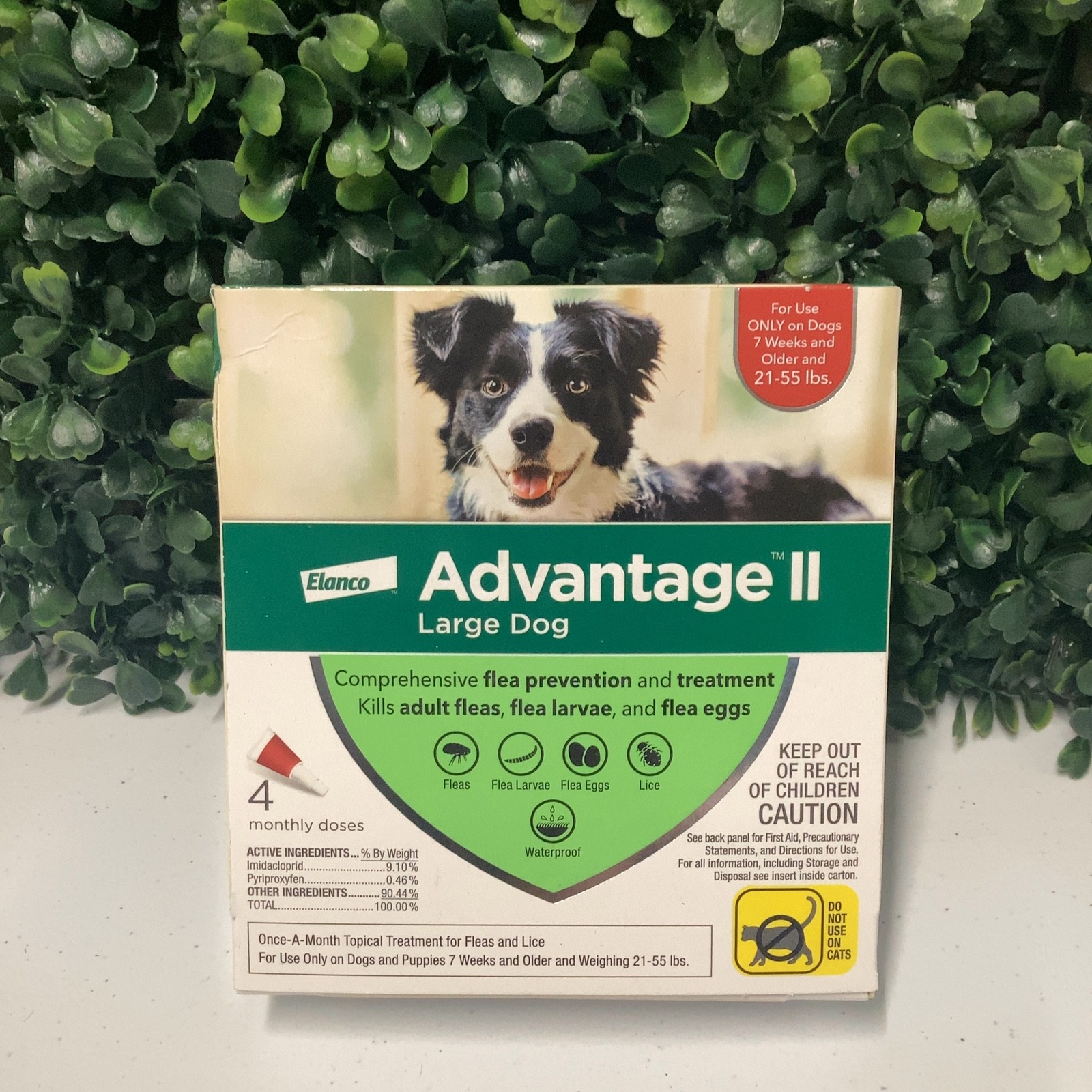 Elanco Advantage II Large Dog 21–55 lbs 4 Dose Flea Treatment