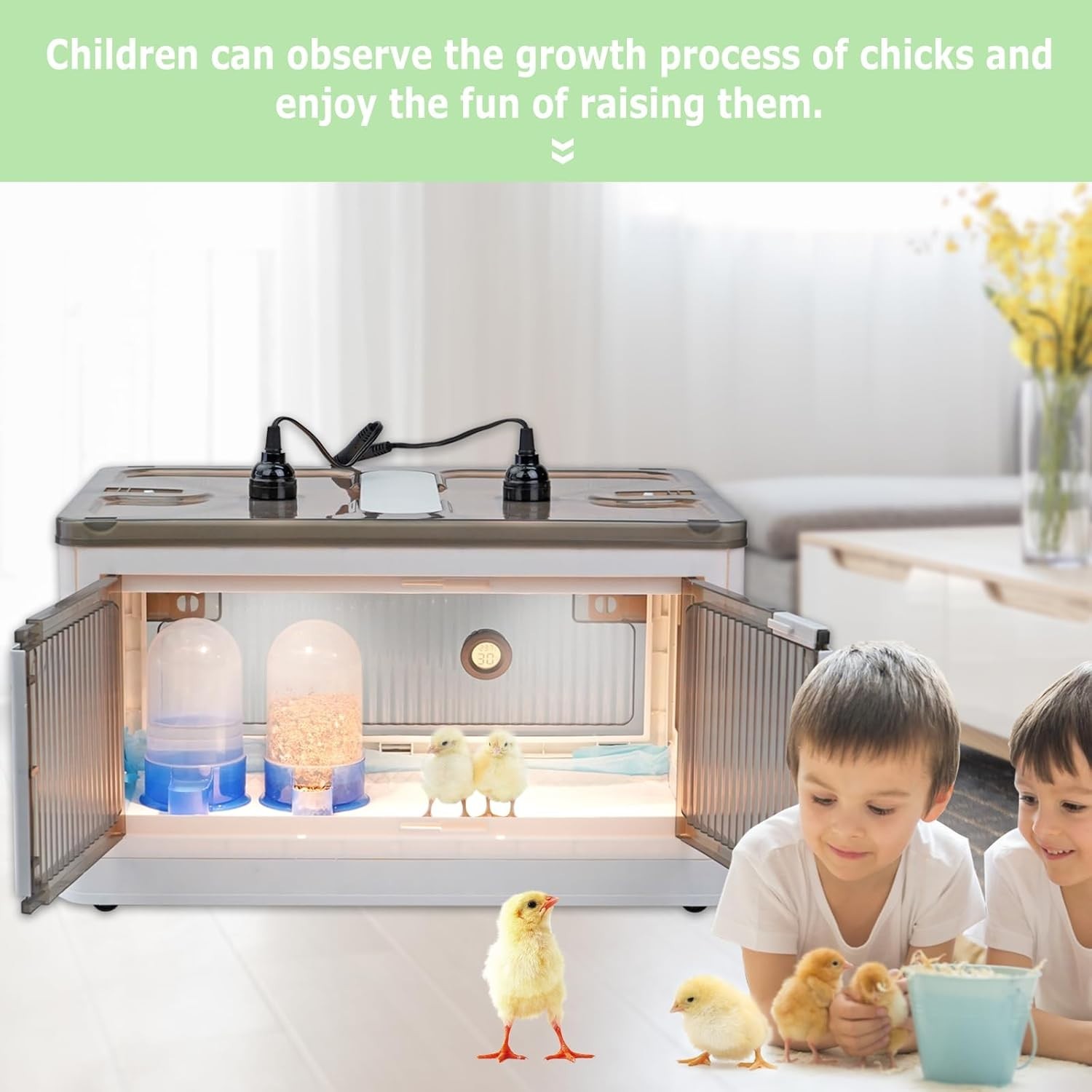 Chicken Brooder Box for Chicks Brooder Heater Chicks Warmer Brooder Plate Kit Ch