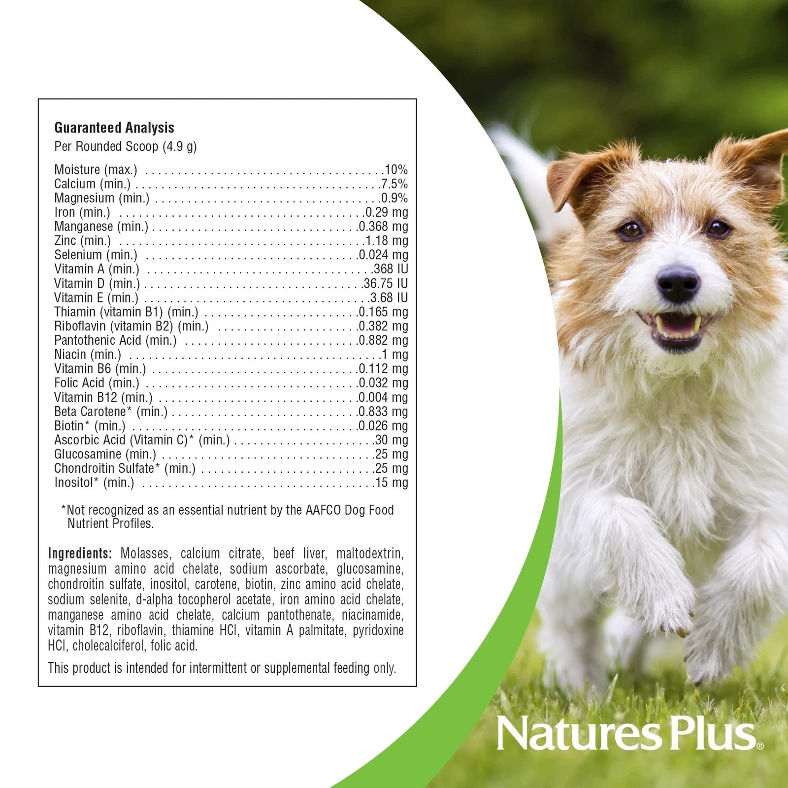 NaturesPlus FurBaby Multivitamin for Dogs – 10.4 oz – Supports Joint Health I…