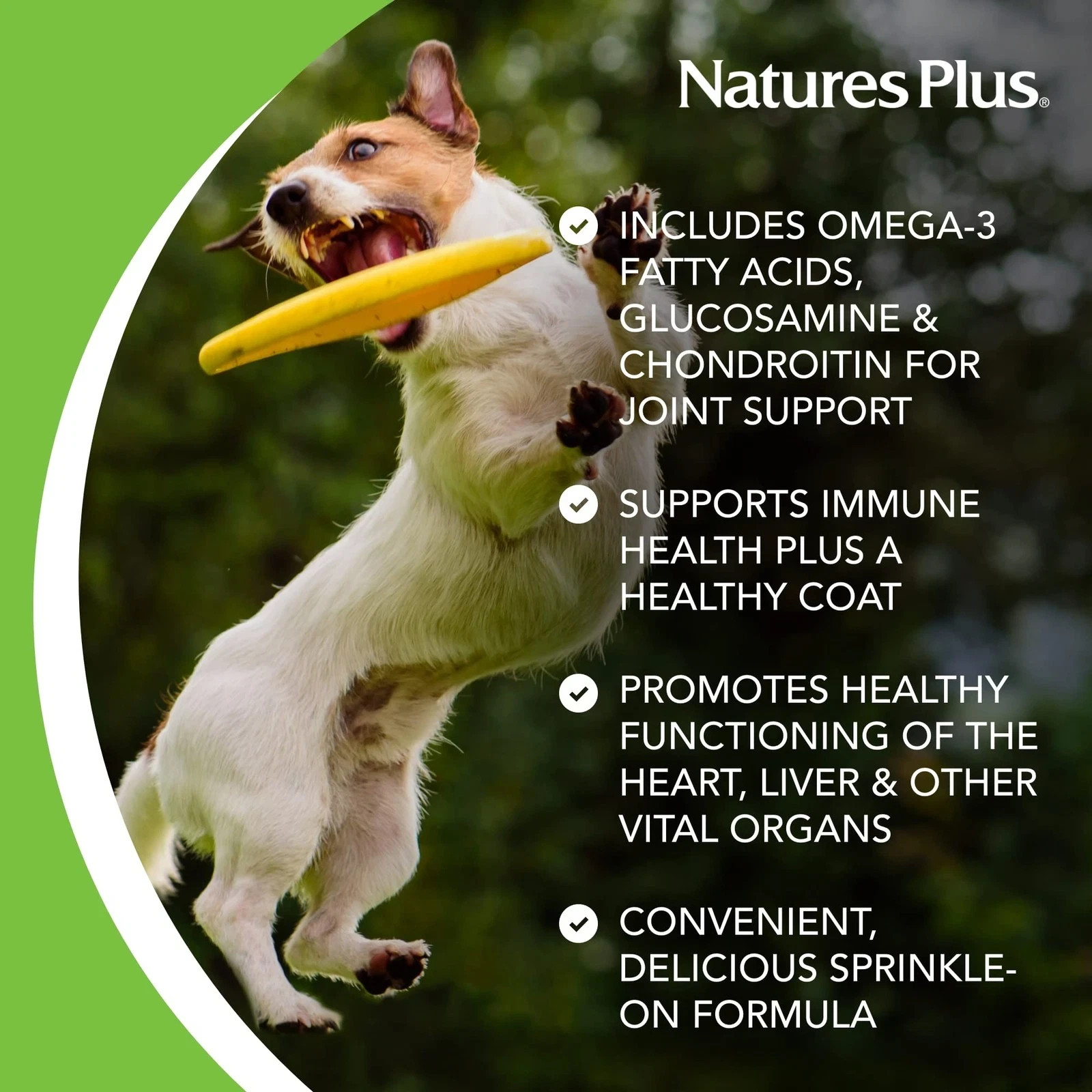 NaturesPlus FurBaby Multivitamin for Dogs – 10.4 oz – Supports Joint Health I…
