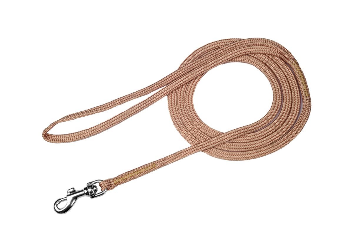 Show Snap Dog Leash – Braided Nylon Dog Training Leash with Durable Snap Clip…