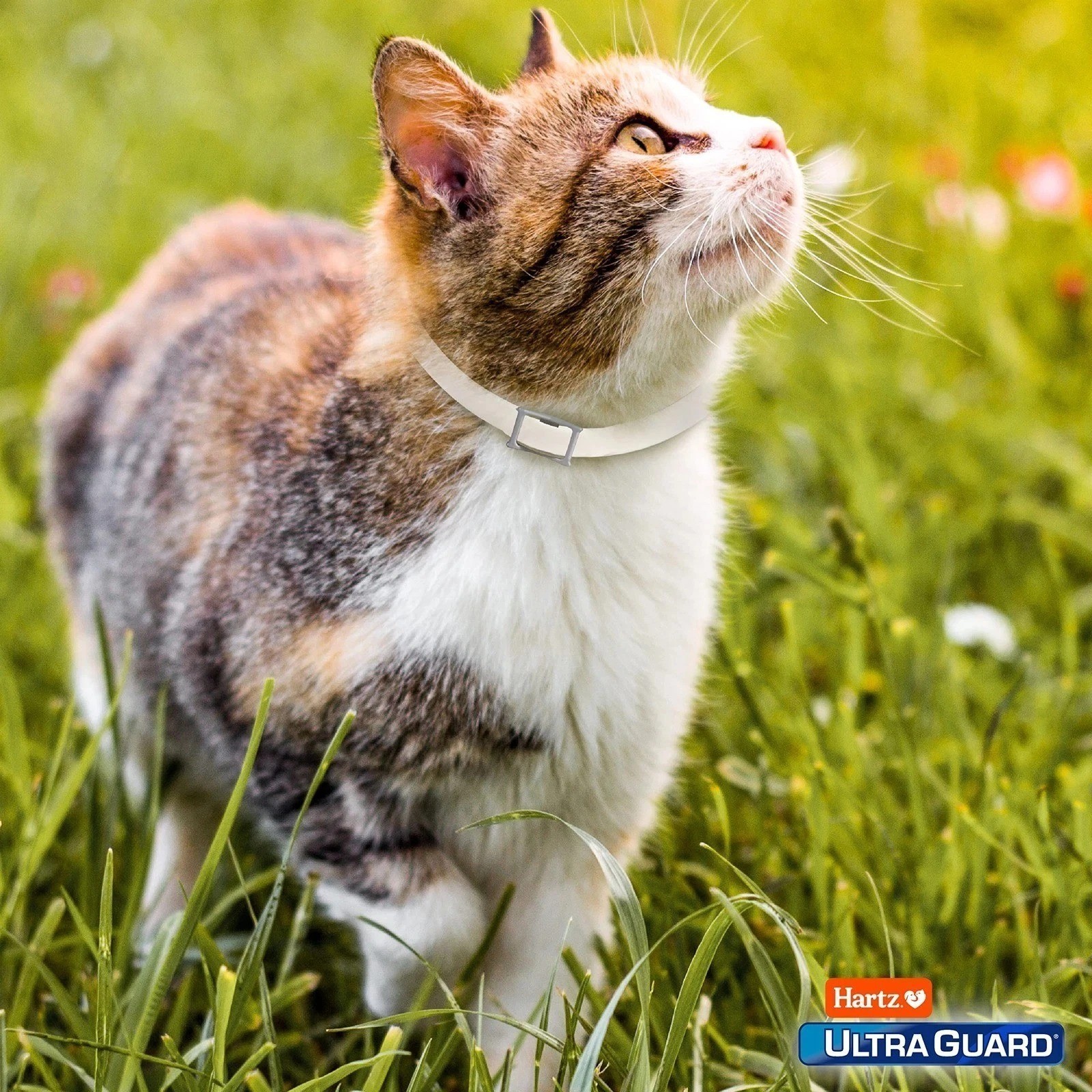 Hartz UltraGuard Flea & Tick Collar for Cats & Kittens 7 Months Protection, 1ct*